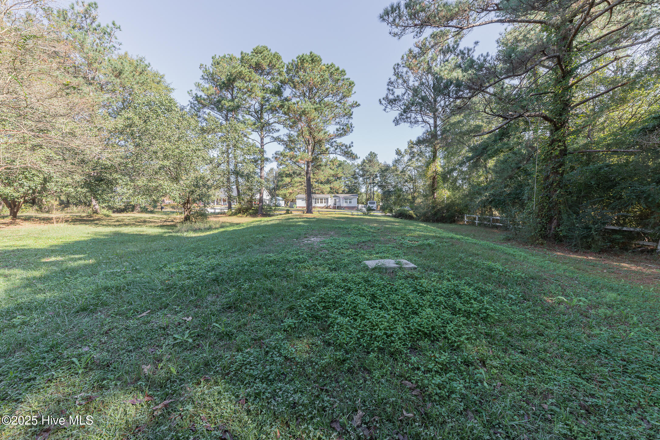 100537382 | Photo 30