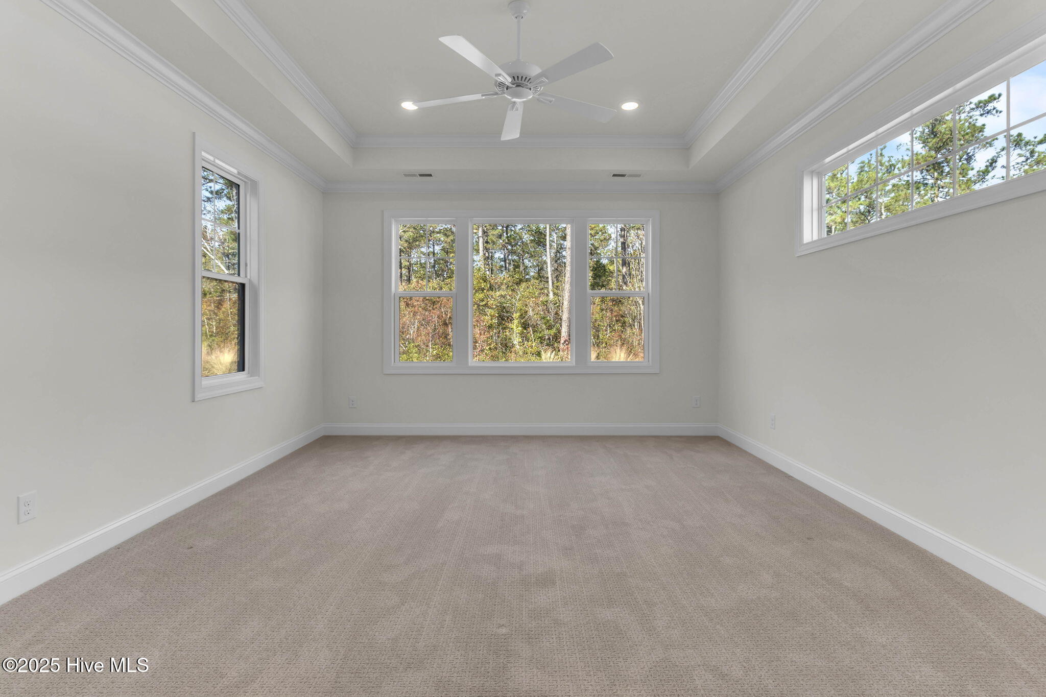 100567325 | Photo 25