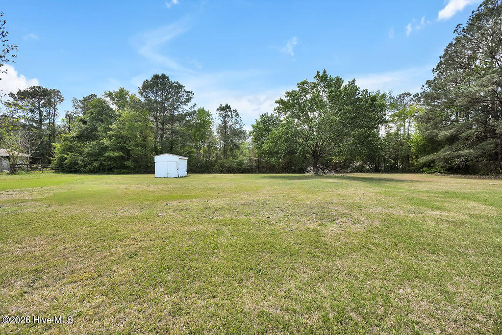 100567983 | Photo 26