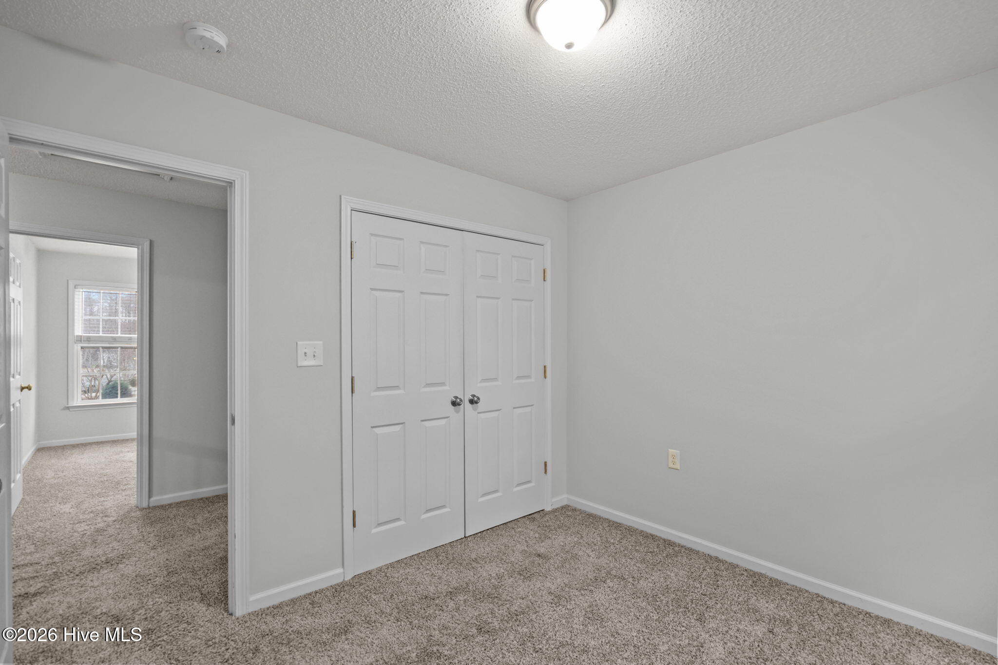 100558076 | Photo 37