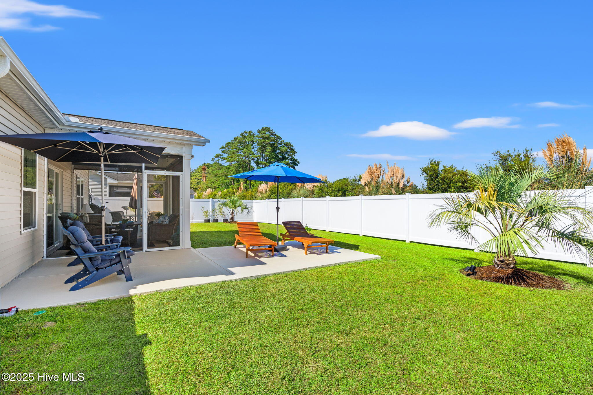 100536885 | Photo 21