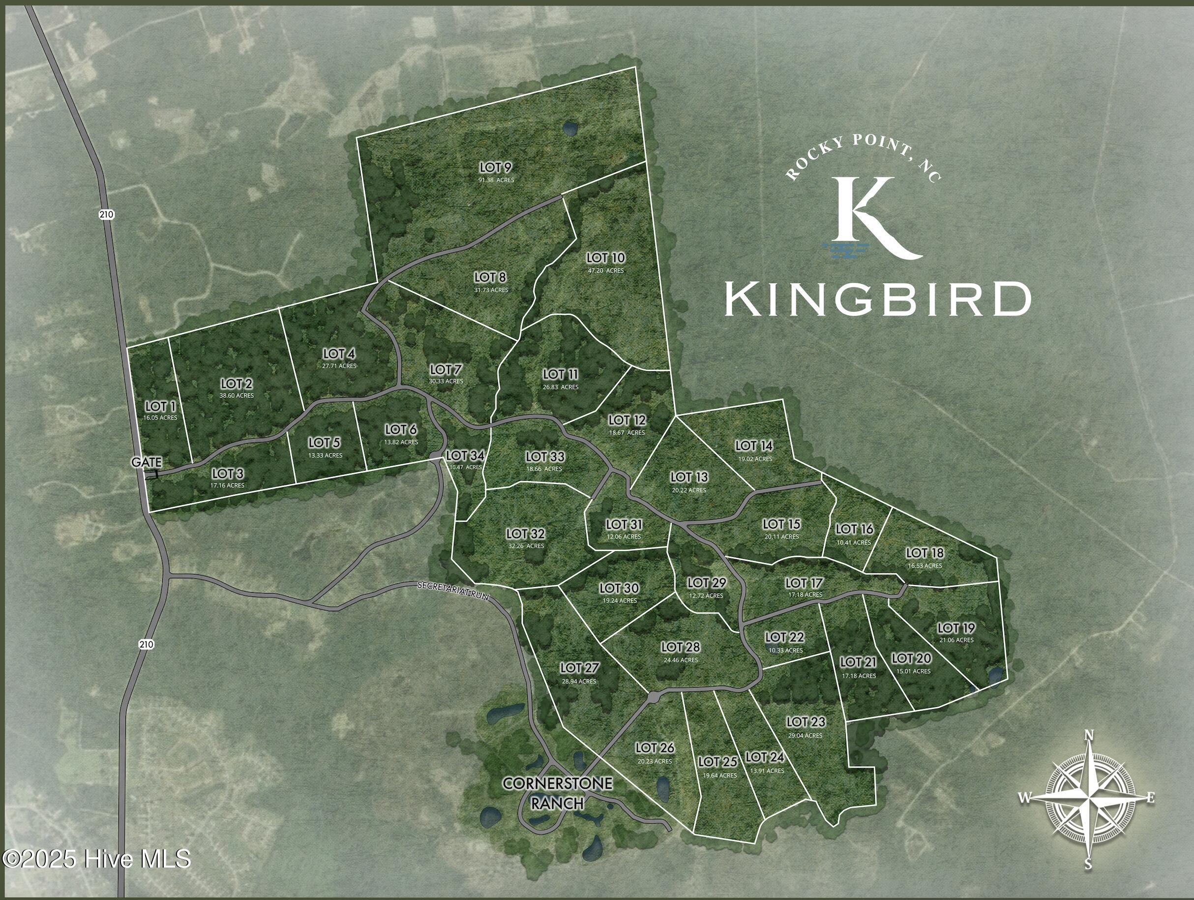 100520208 | Photo 23