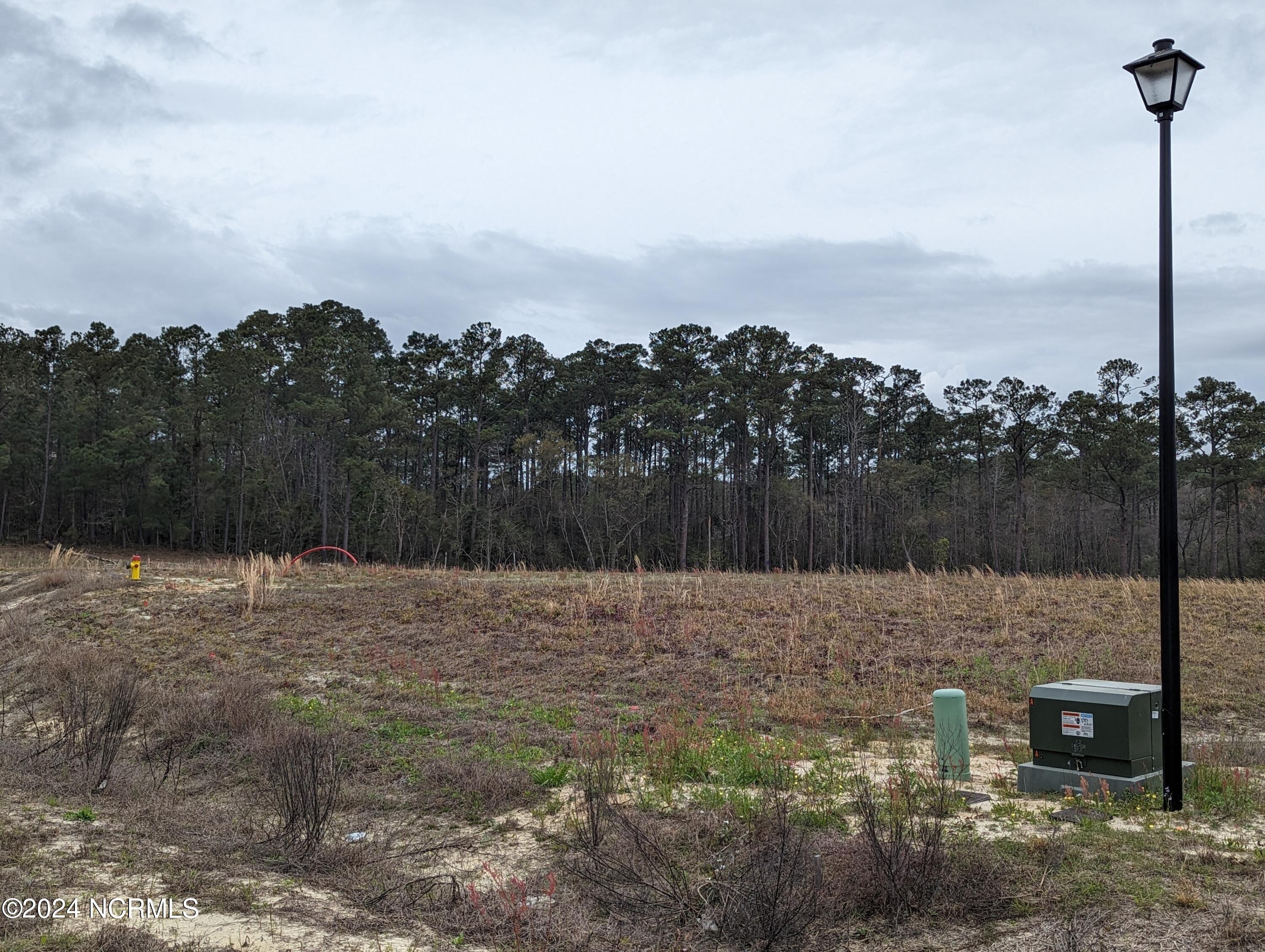 256 Nellie Lane, Swansboro, NC 28584 – photo 24: PXL_20240322_180223075.PORTRAIT.ORIGINAL