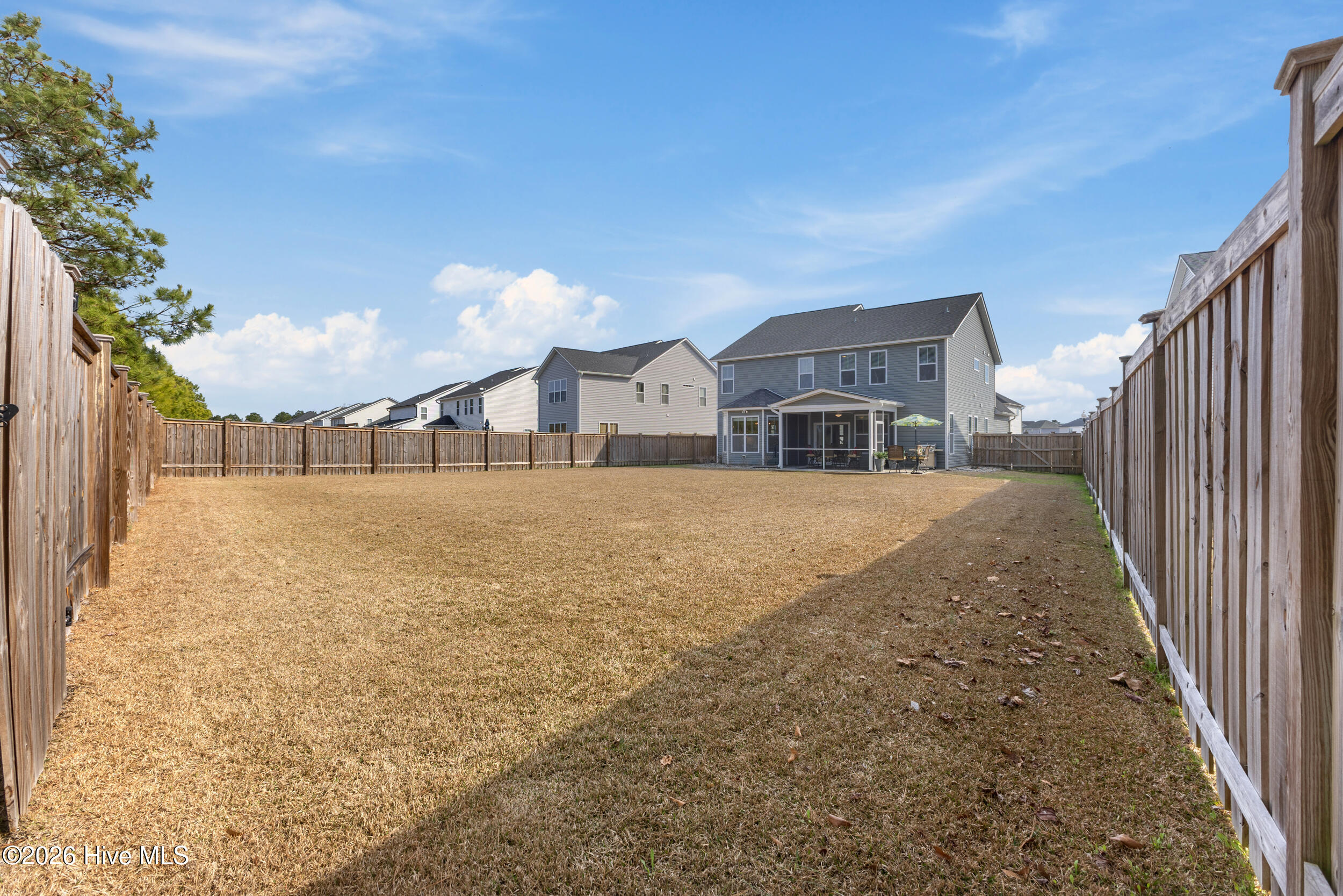 100558195 | Photo 44