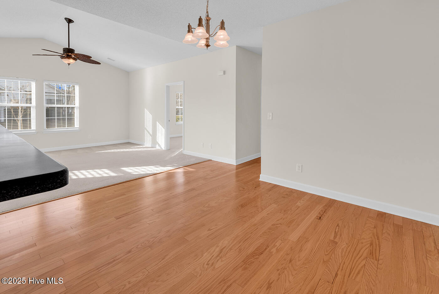 100545538 | Photo 10