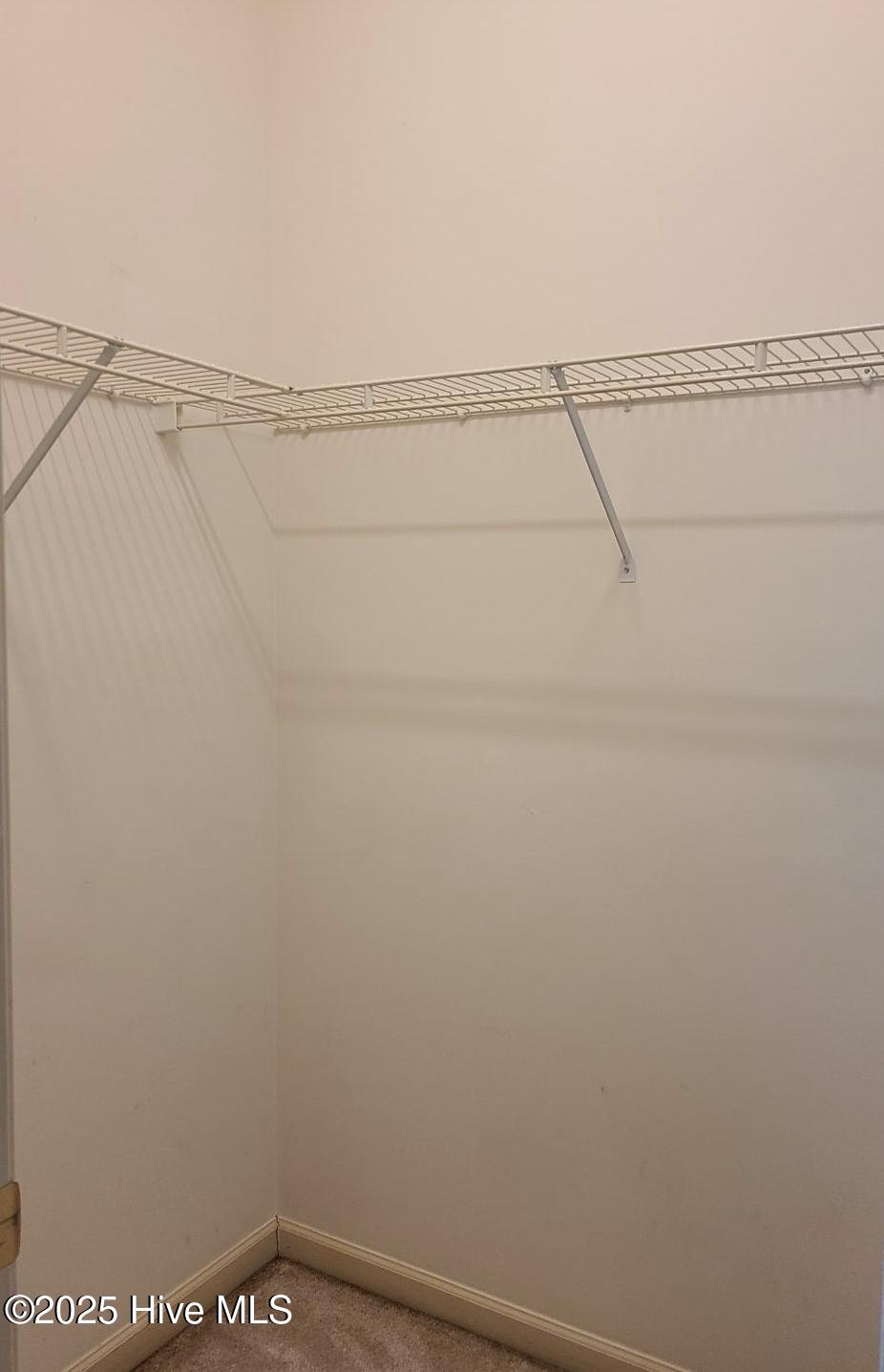 100545886 | Photo 27