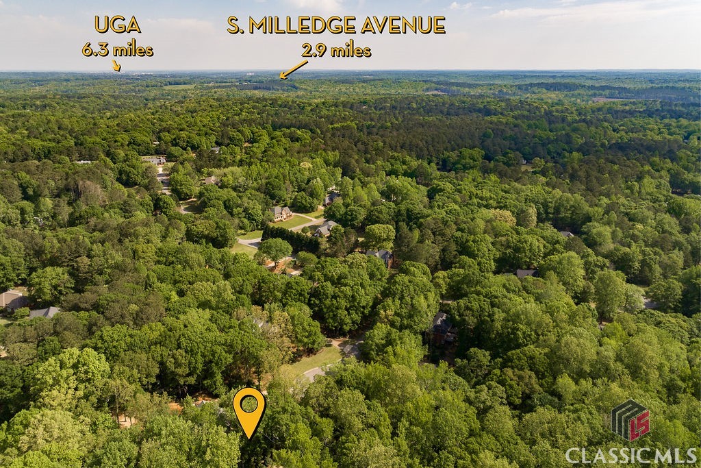 1031 Long Branch Run