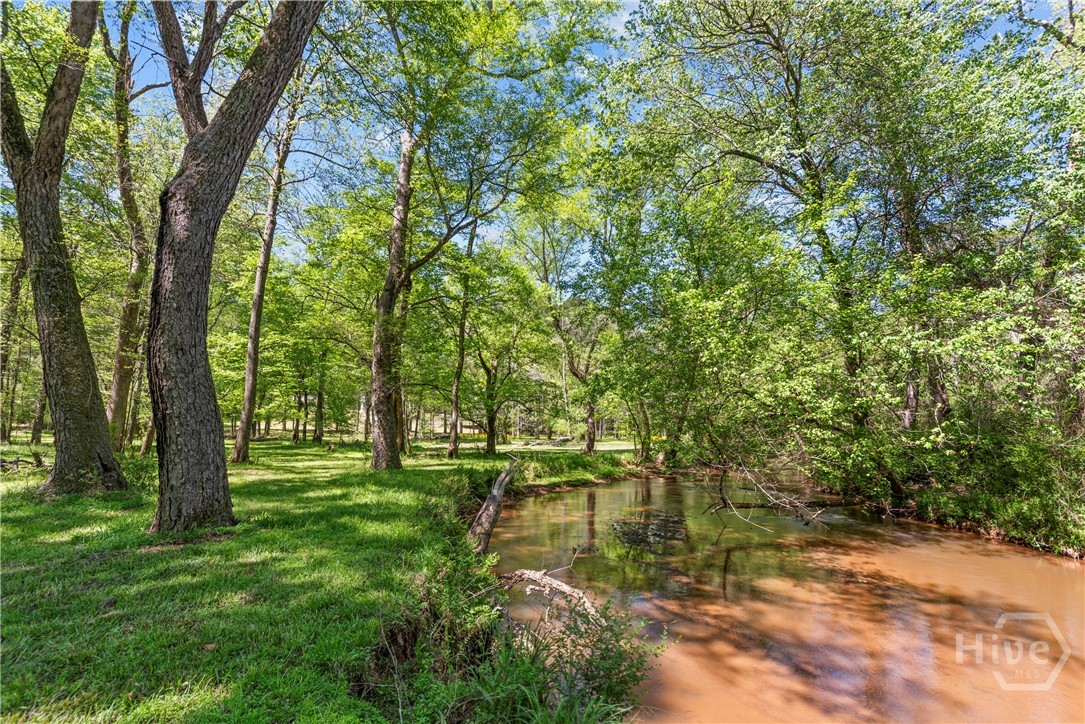 599 Double Branch Road, Danielsville, GA, 30633