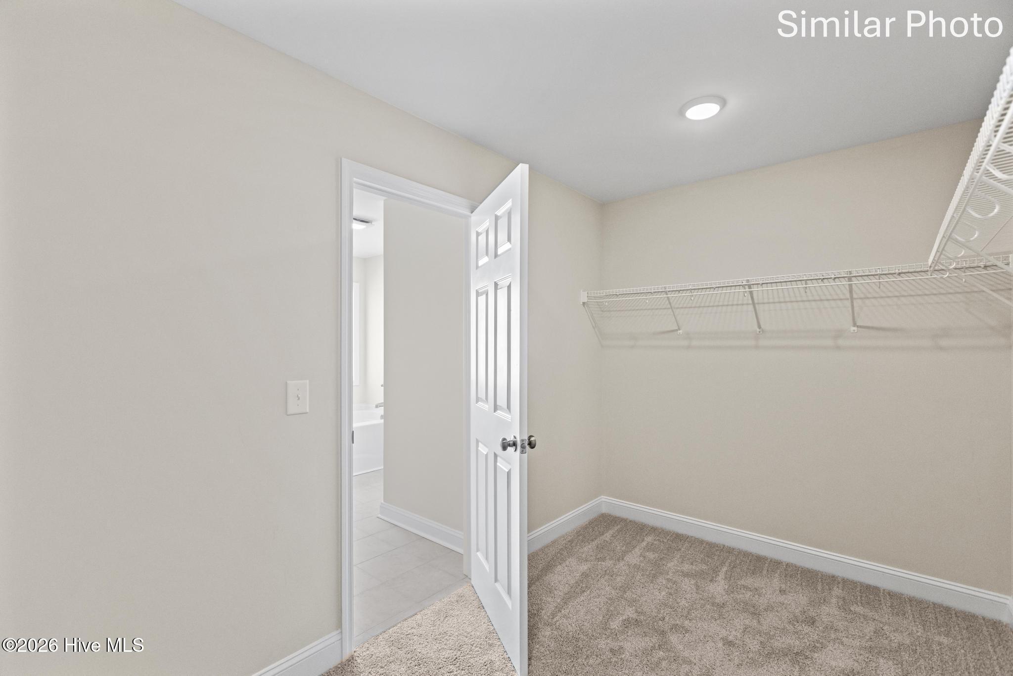 100552211 | Photo 33