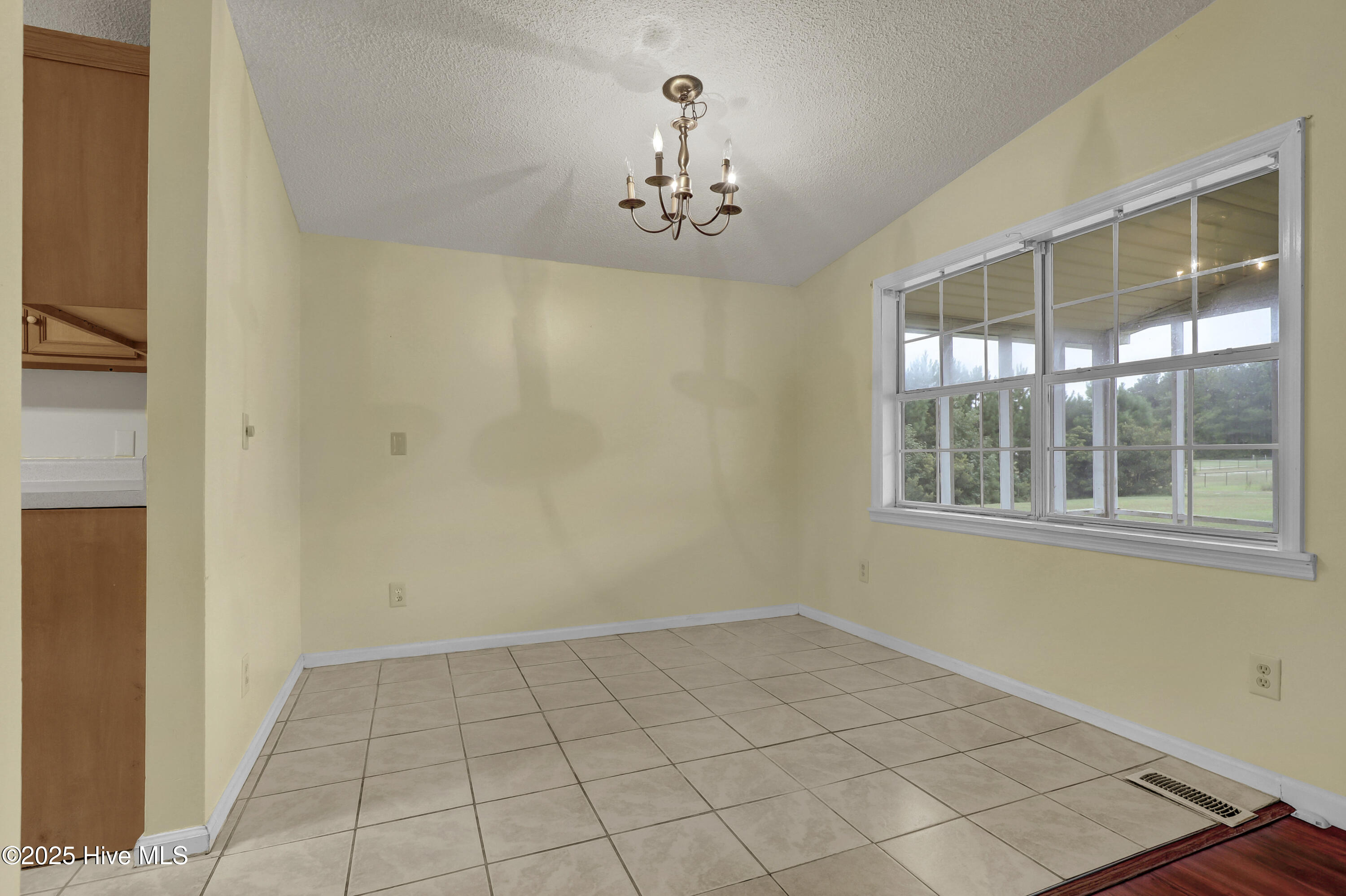 100531517 | Photo 12