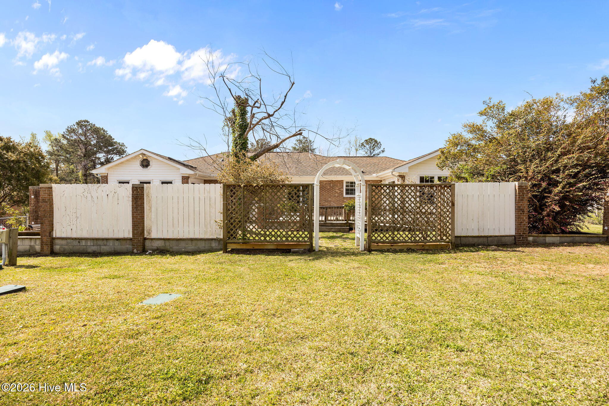 100564387 | Photo 38