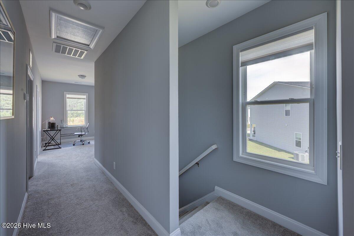 100567041 | Photo 22