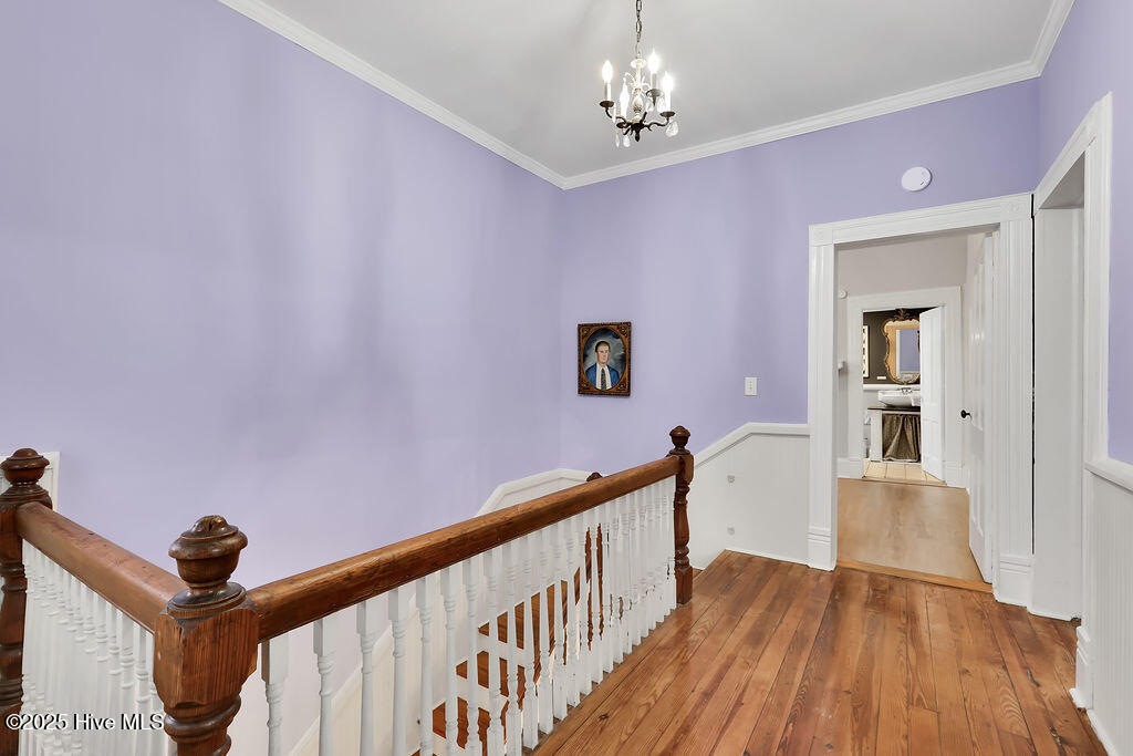 100544727 | Photo 25