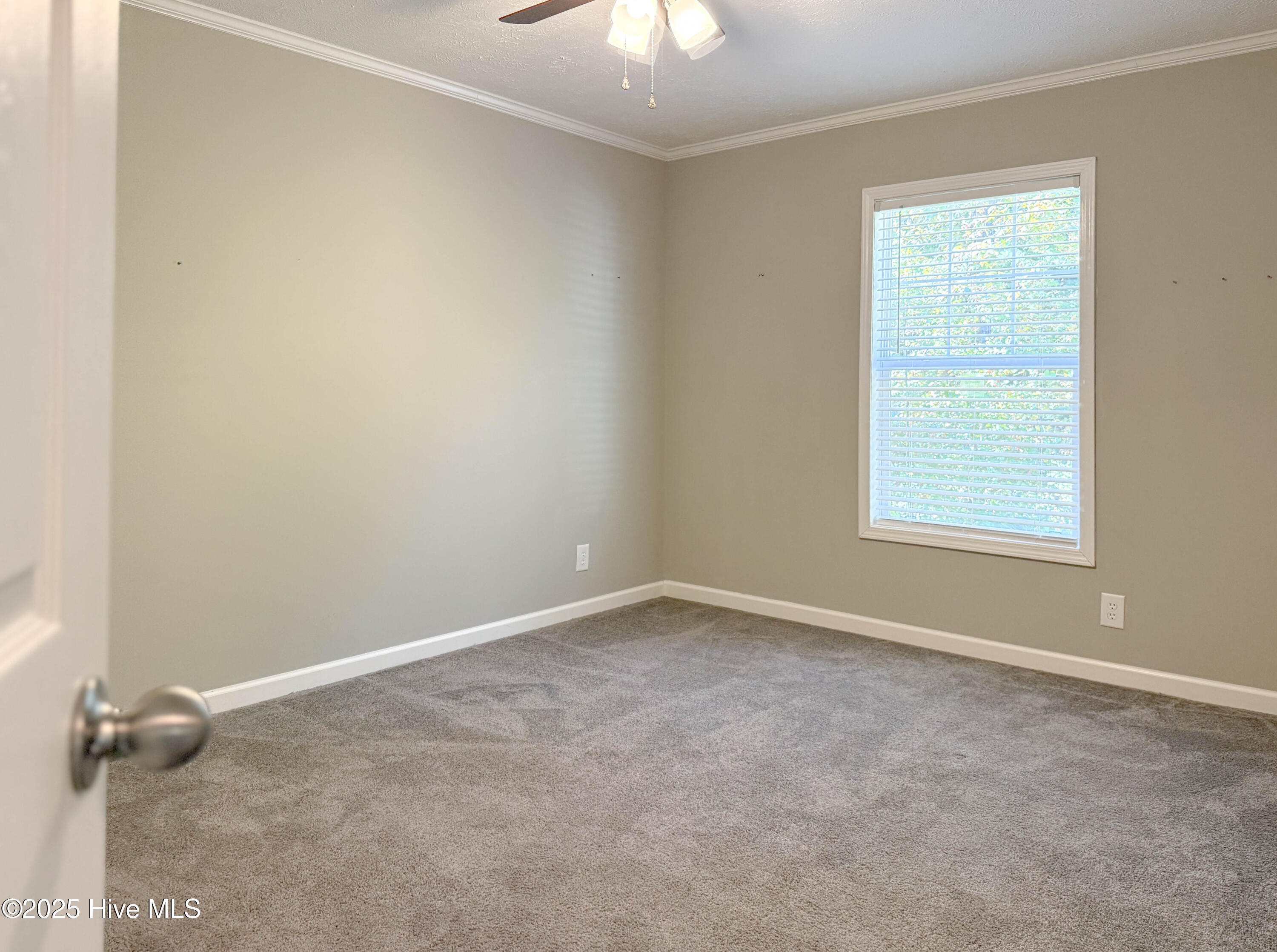 100540094 | Photo 51