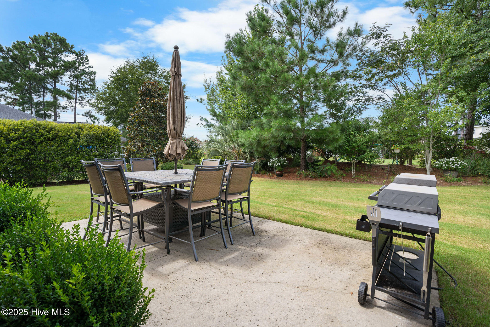 100524578 | Photo 54