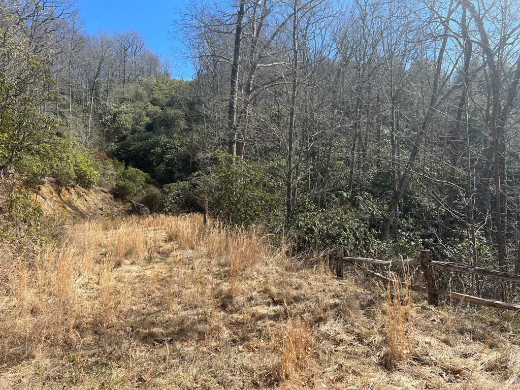Homes for sale in Nantahala, NC | Lot 19 Preserve Valley Rd, Nantahala, NC 28781 | MLS# 98525030