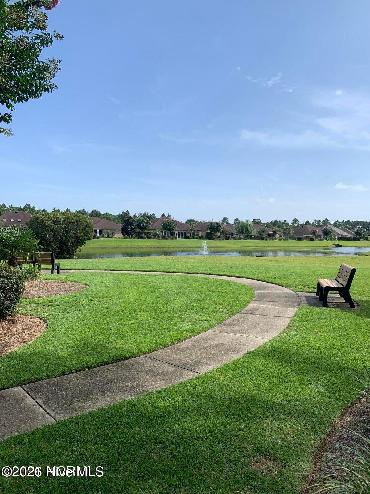 100537475 | Photo 59