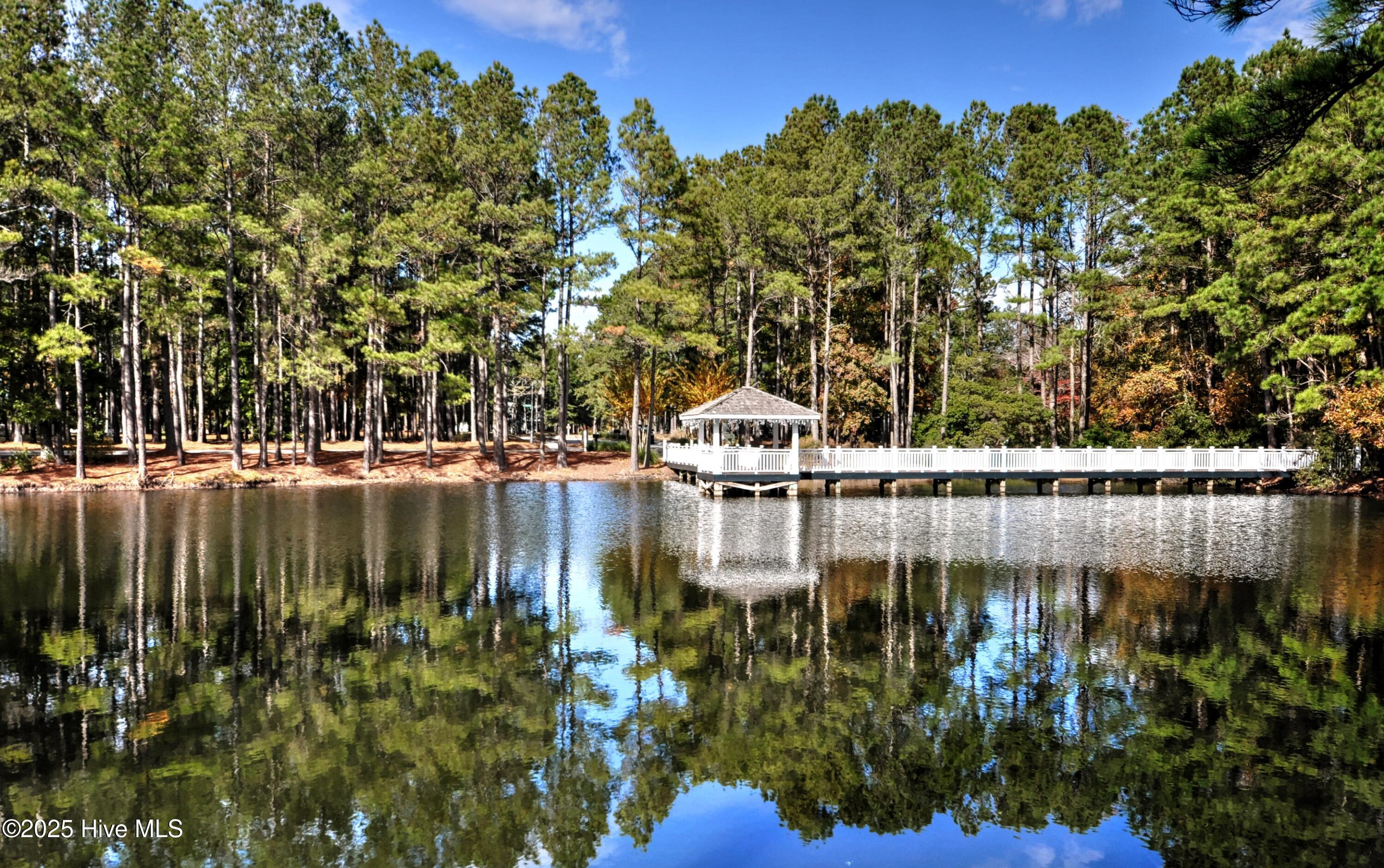 100535585 | Photo 67