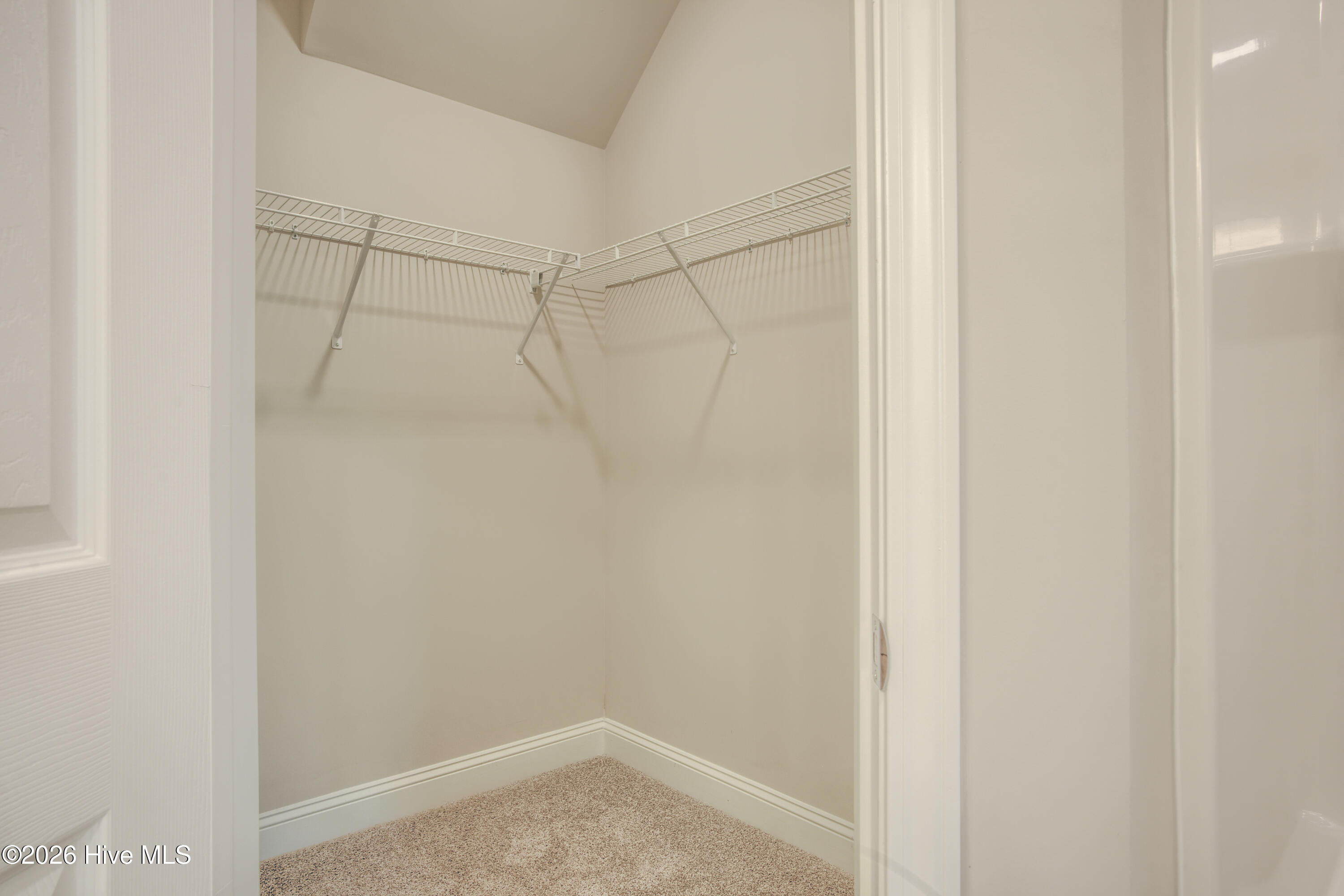 100552391 | Photo 14