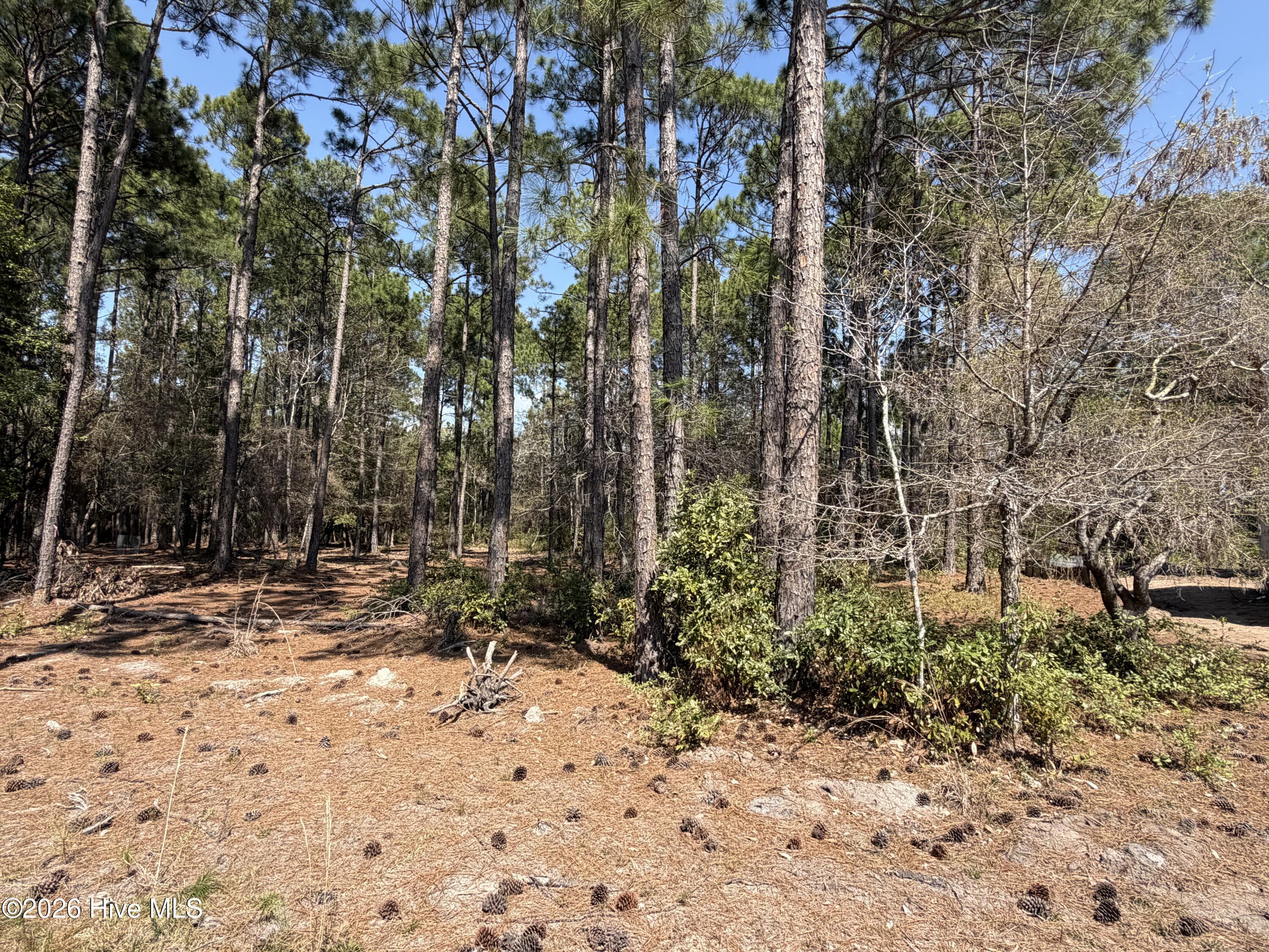 6786 Holton Place, Ocean Isle Beach, NC, 28469