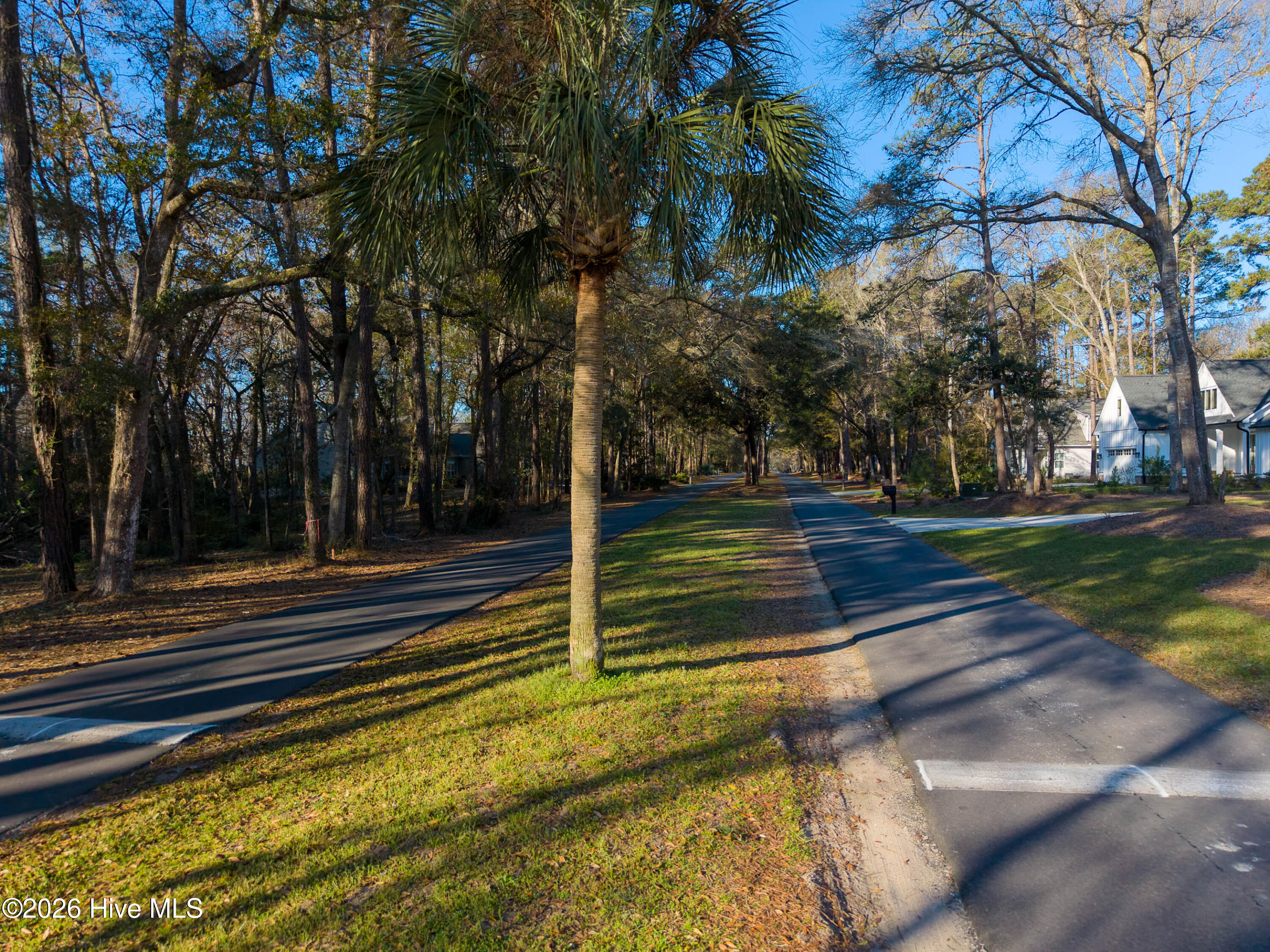 100562010 | Photo 12