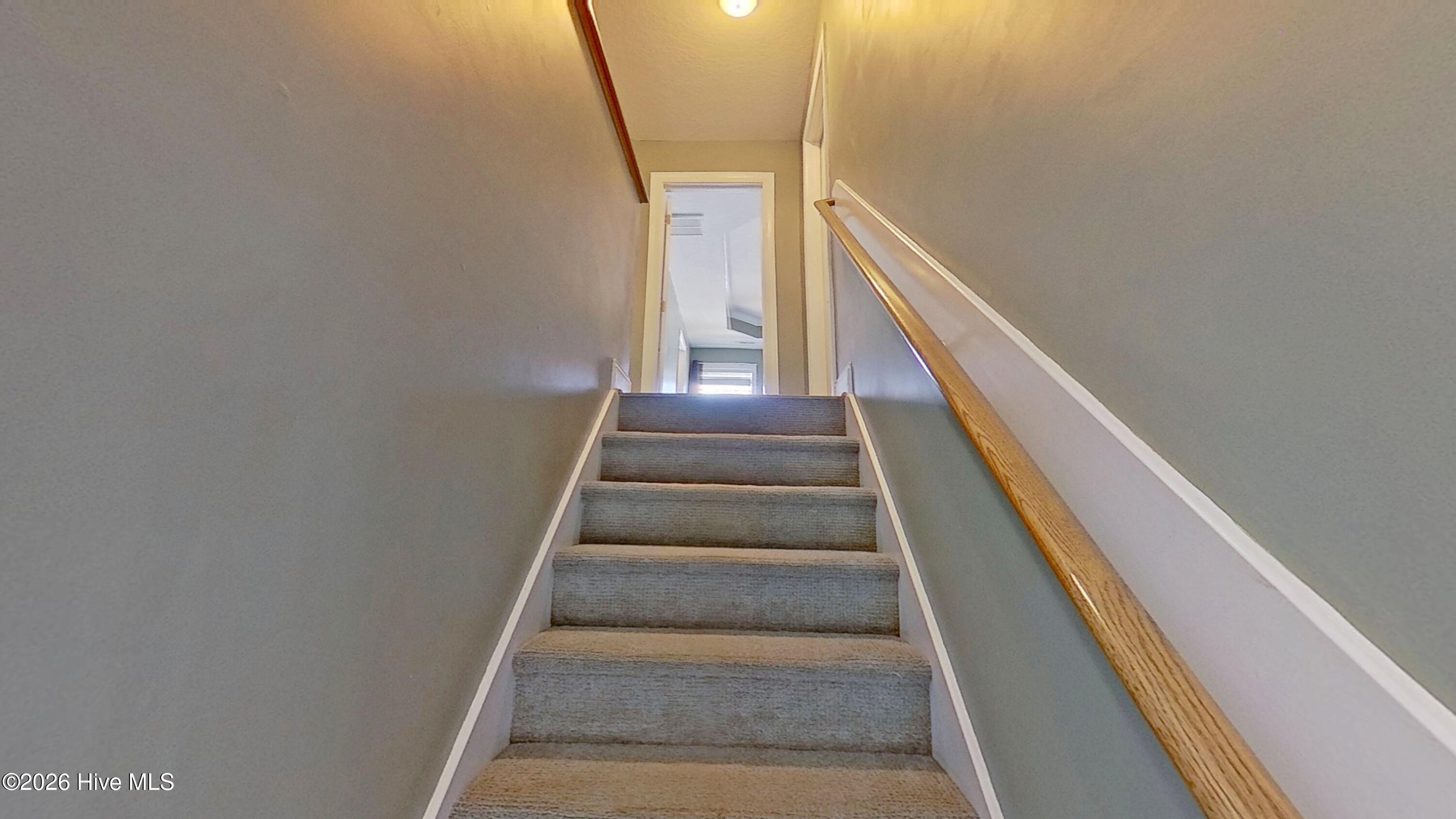 100566911 | Photo 14