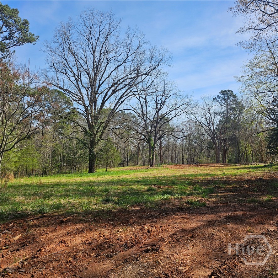 Homes for sale in Watkinsville, GA | 6291 Colham Ferry Rd, Watkinsville, GA 30677 | MLS# CL351380