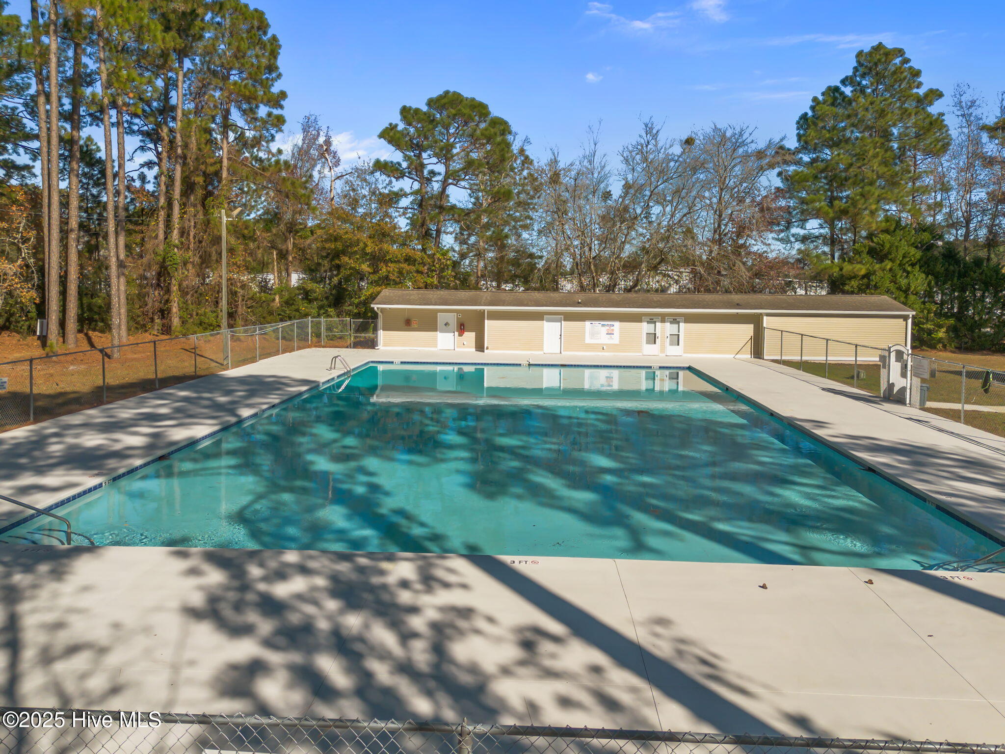 100543028 | Photo 37