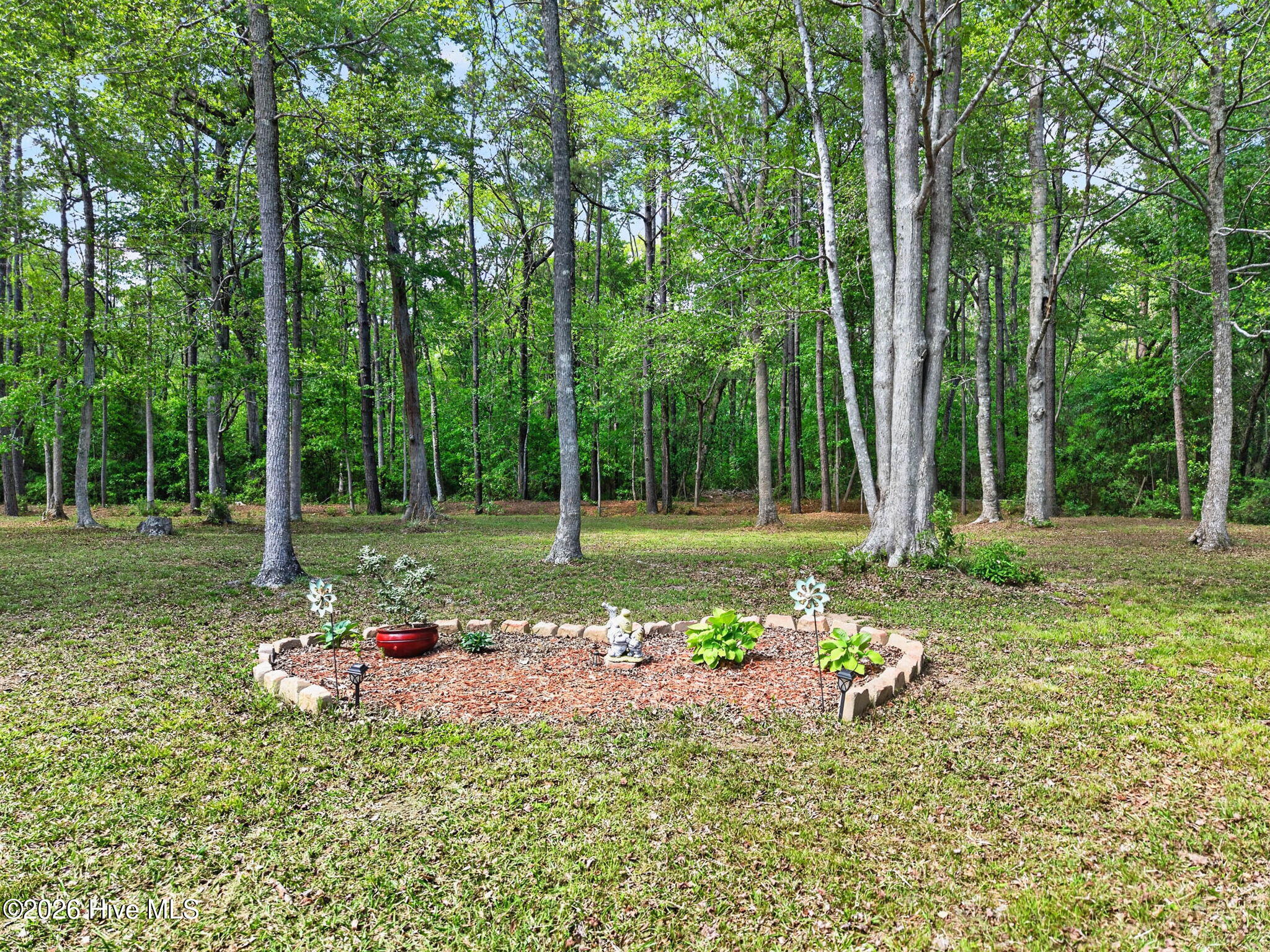 100568923 | Photo 13