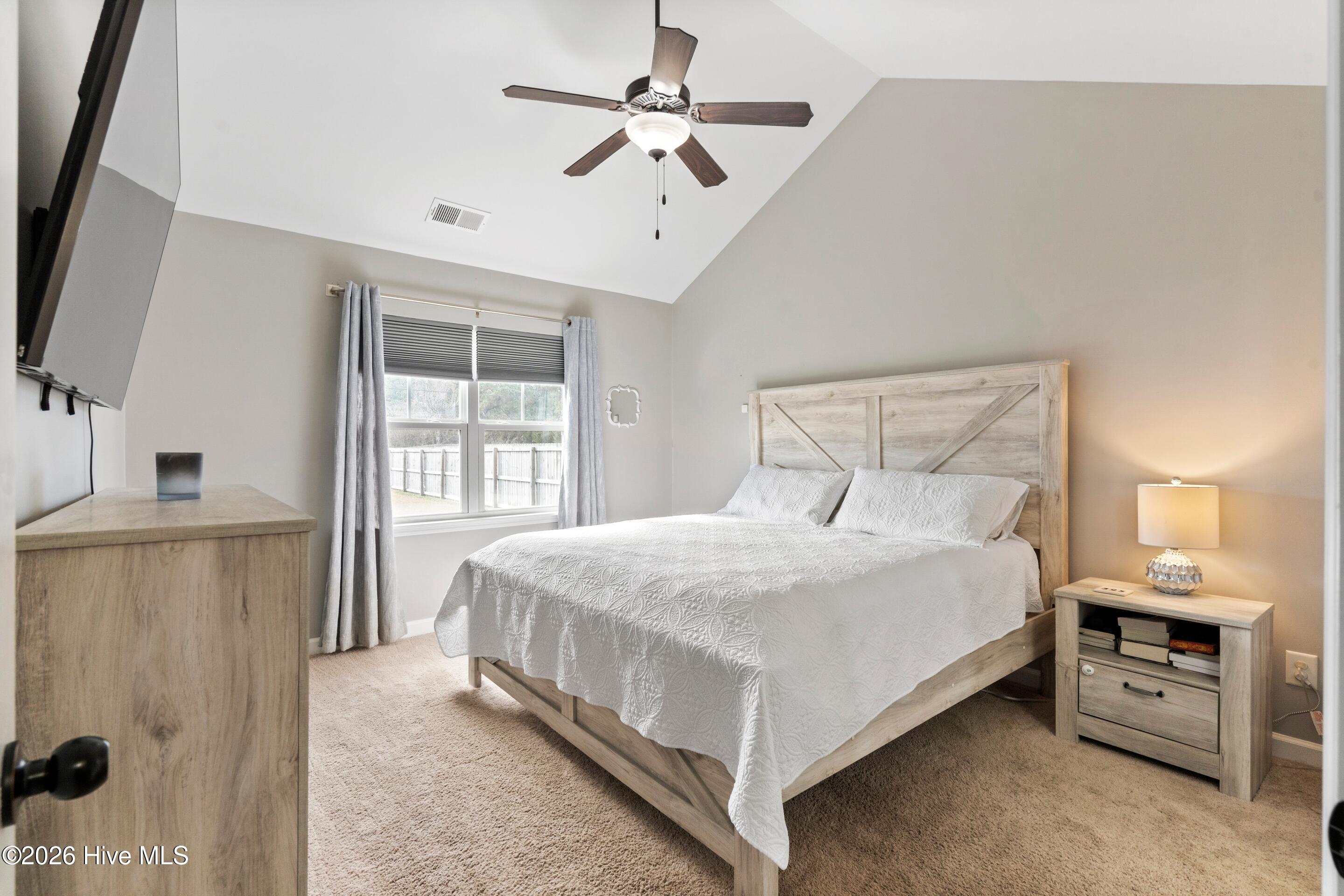 100548782 | Photo 16