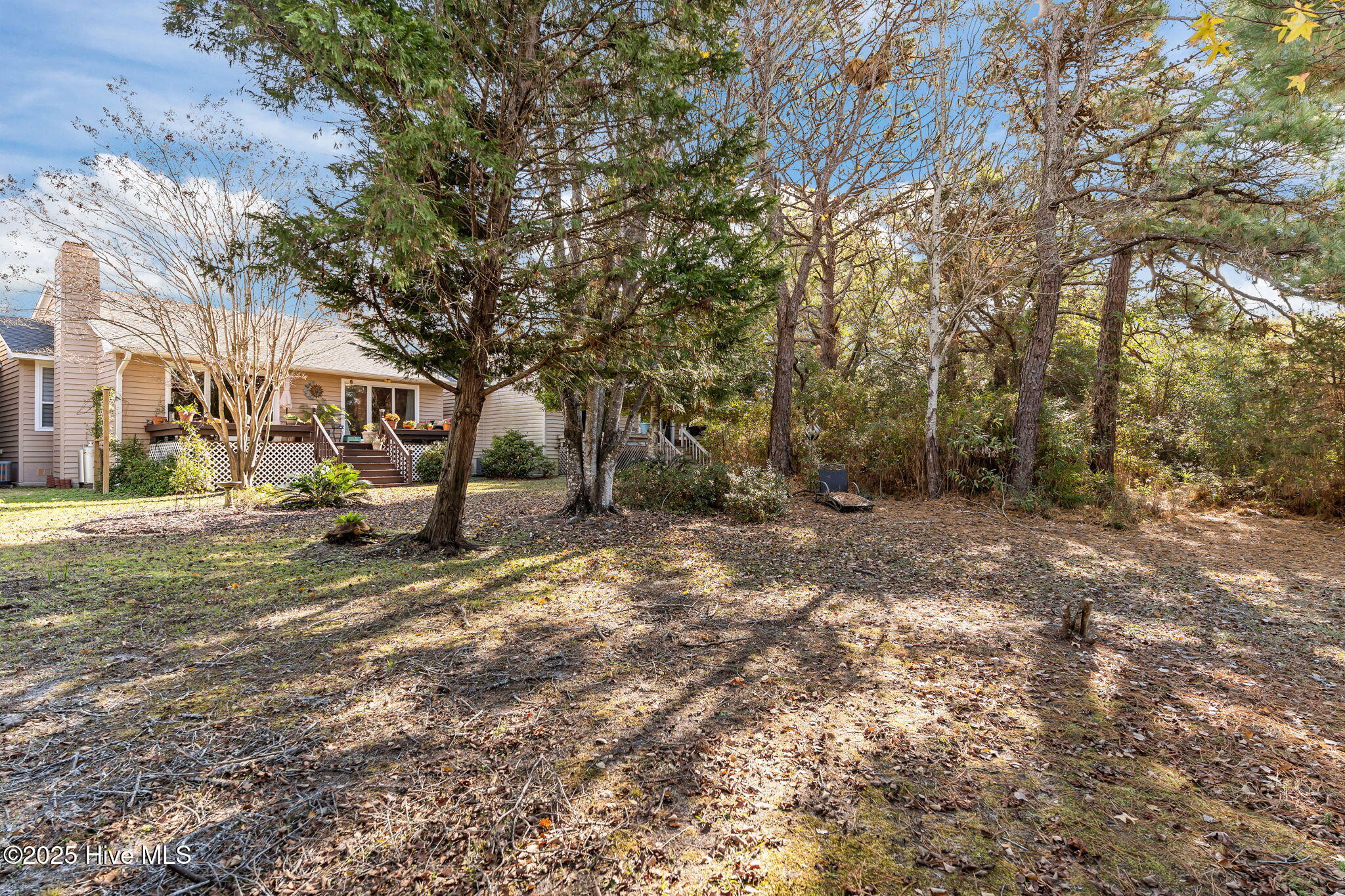 100545533 | Photo 40