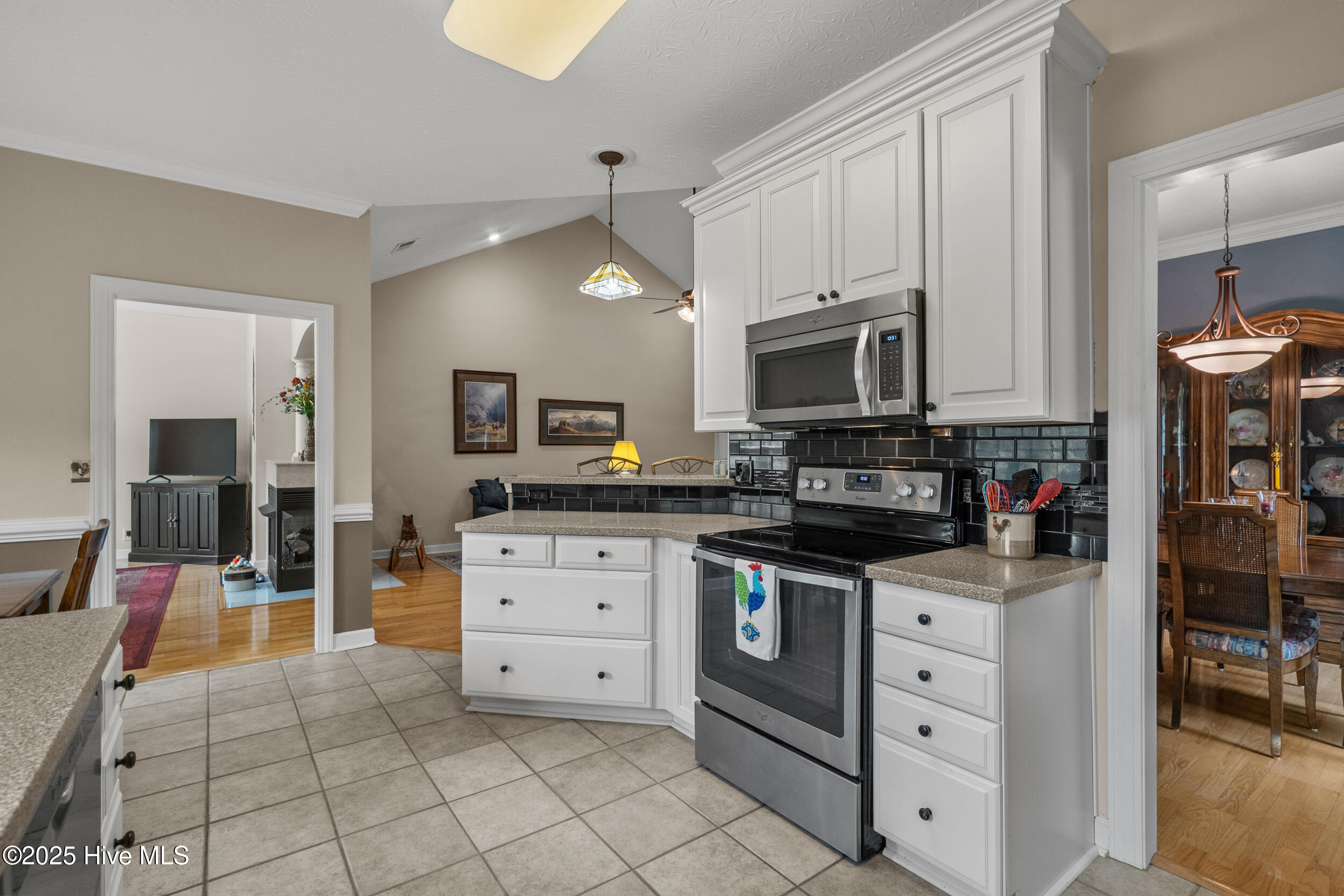 100508973 | Photo 22