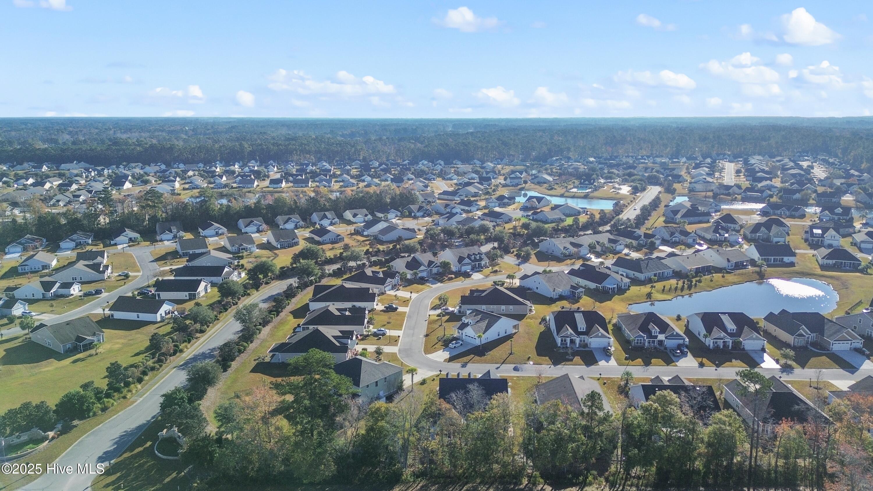 100542898 | Photo 49