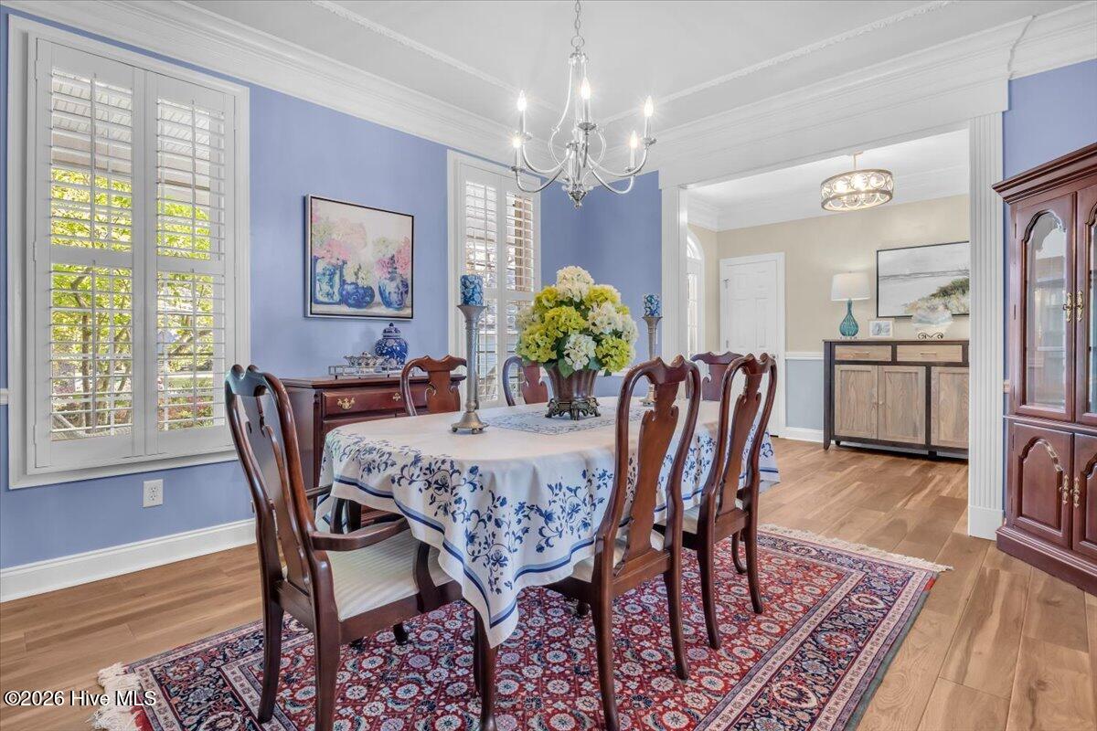 100567087 | Photo 12