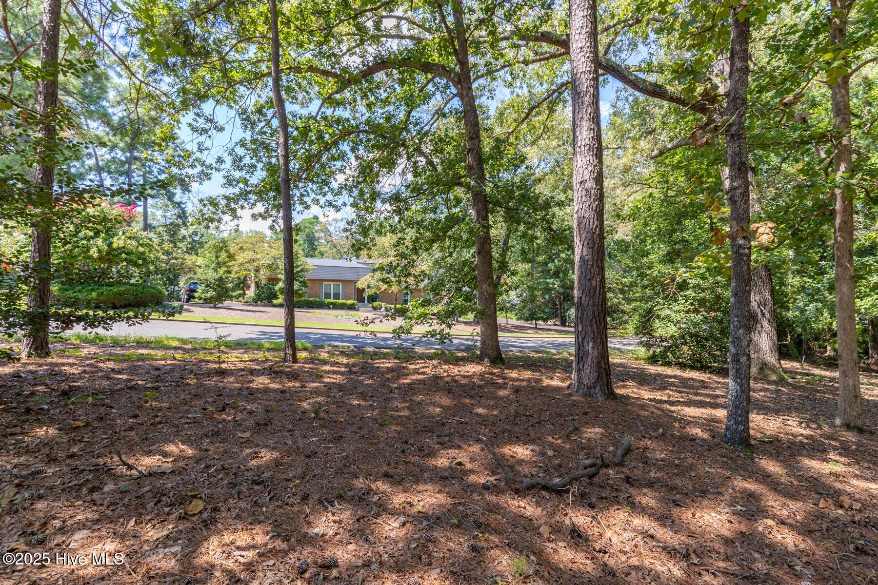 Homes for sale in Pinehurst, NC | Tbd Turtle Point Rd, Pinehurst, NC 28374 | MLS# 100527027