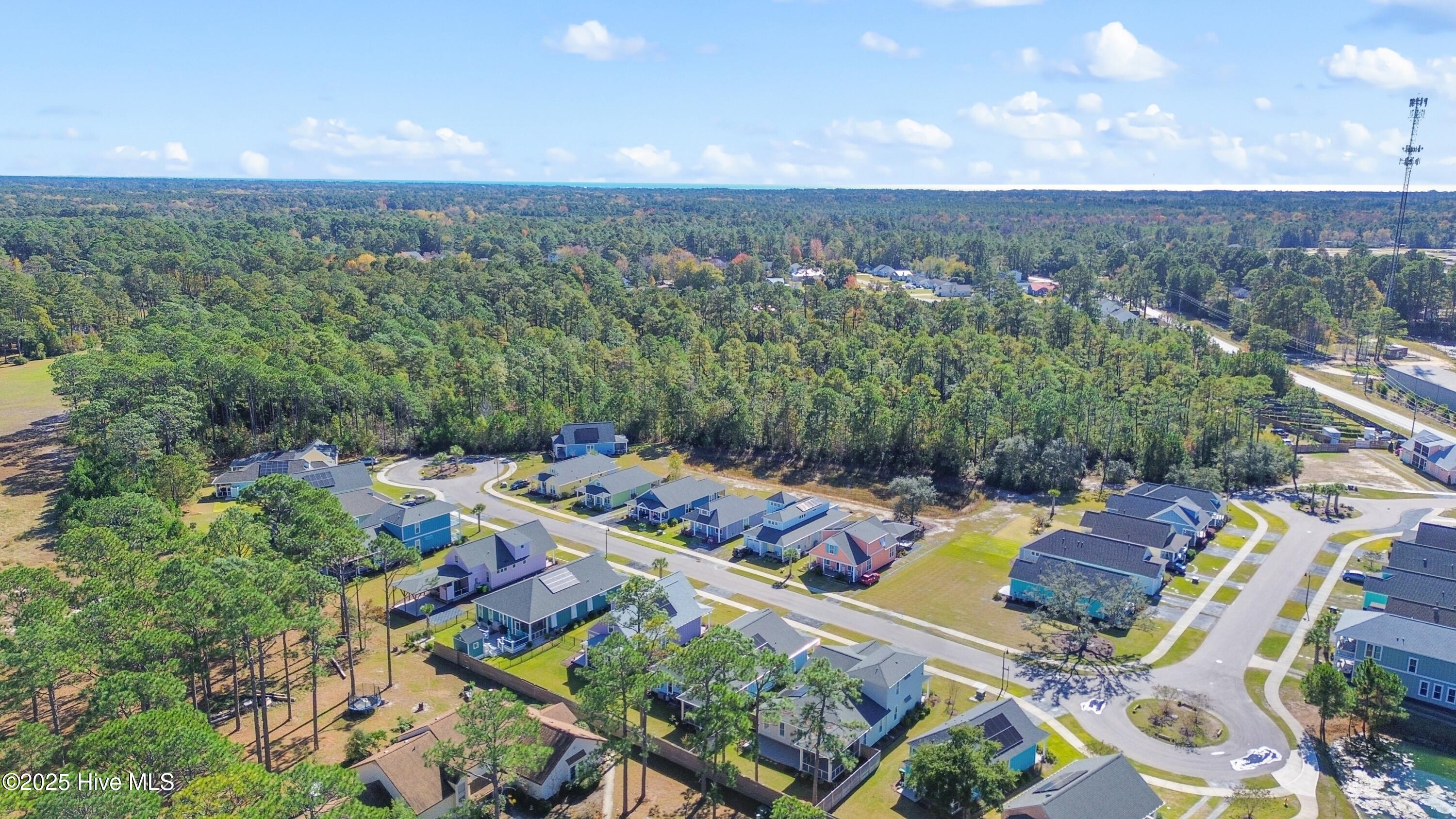 100541024 | Photo 39