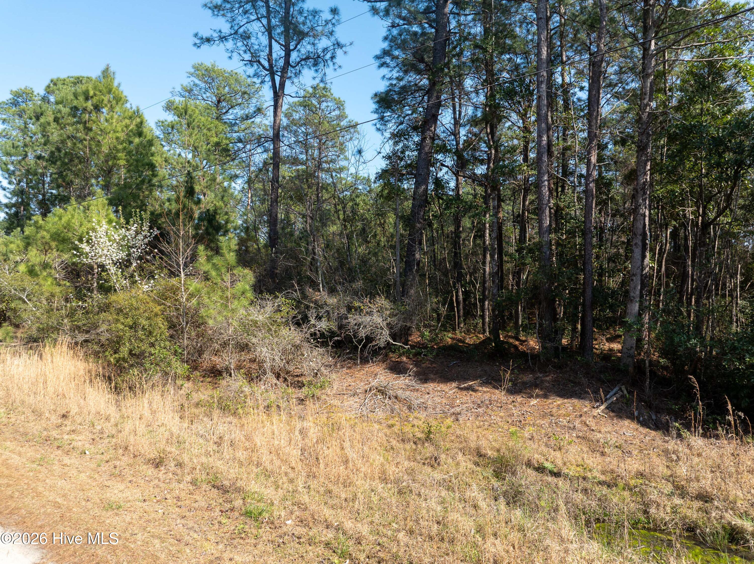 100559861 | Photo 15