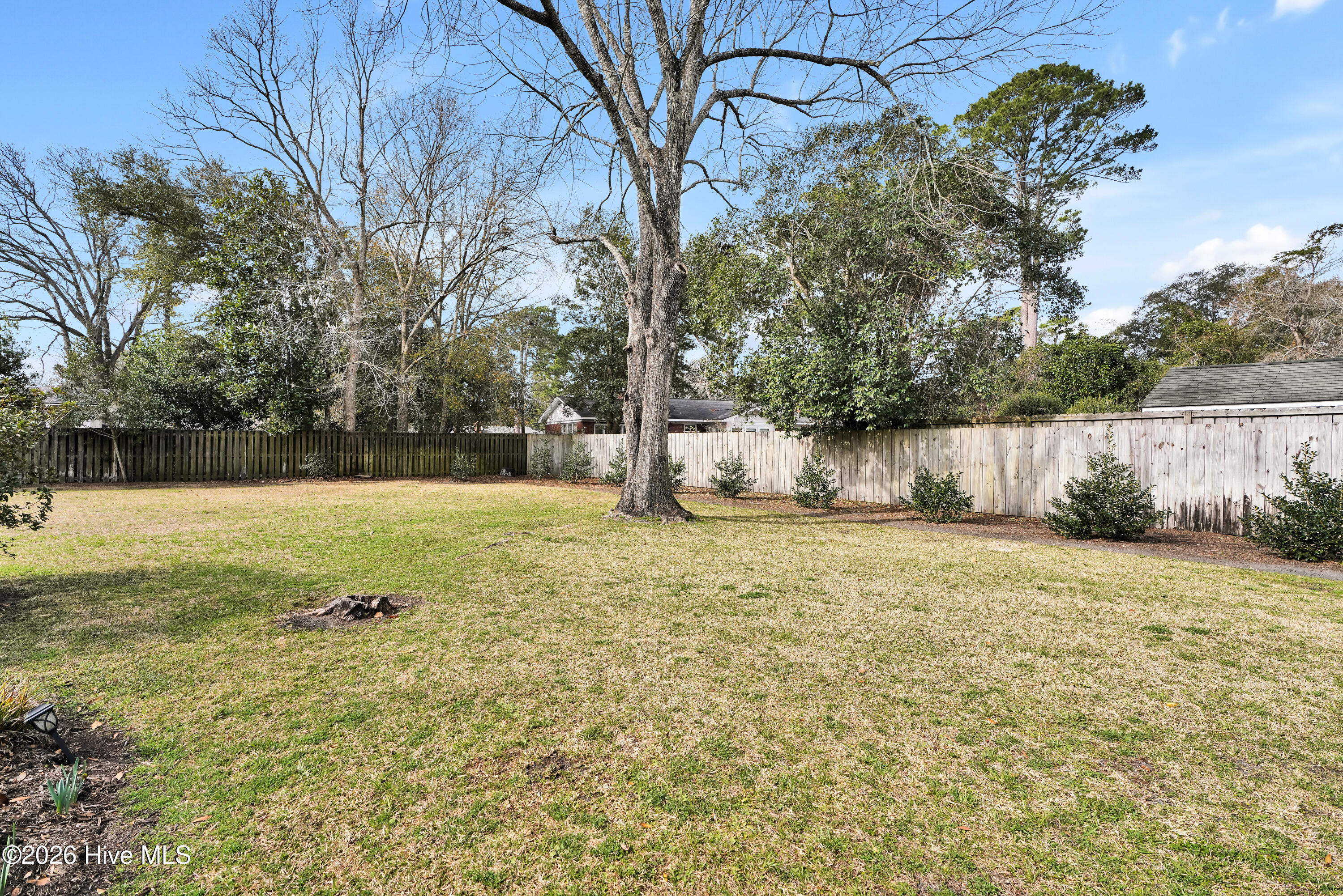 100557900 | Photo 35