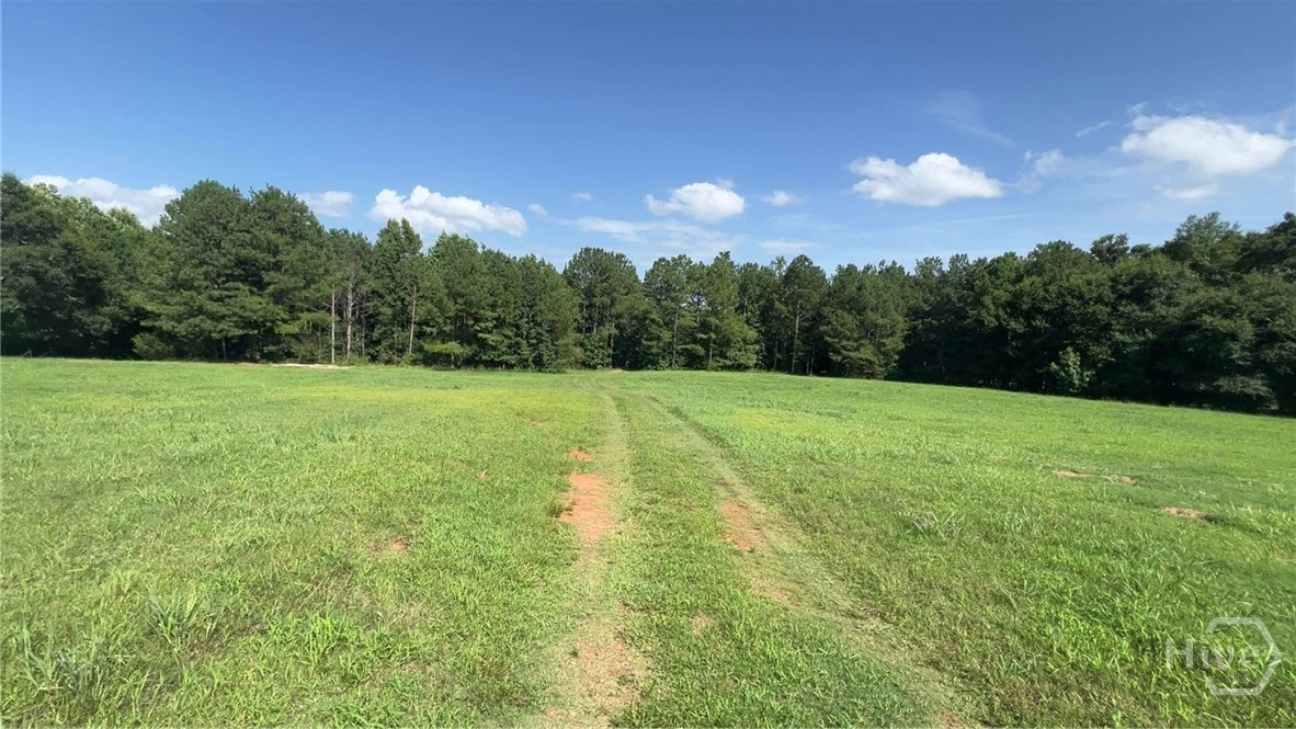 Homes for sale in Comer, GA | 0 Monroe Dr, Comer, GA 30629 | MLS# CL361059