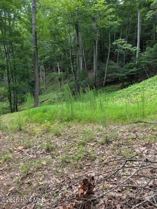 7th image of 190 Valley Crest Dr, Blairsville, GA 30512 | MLS# 100590267