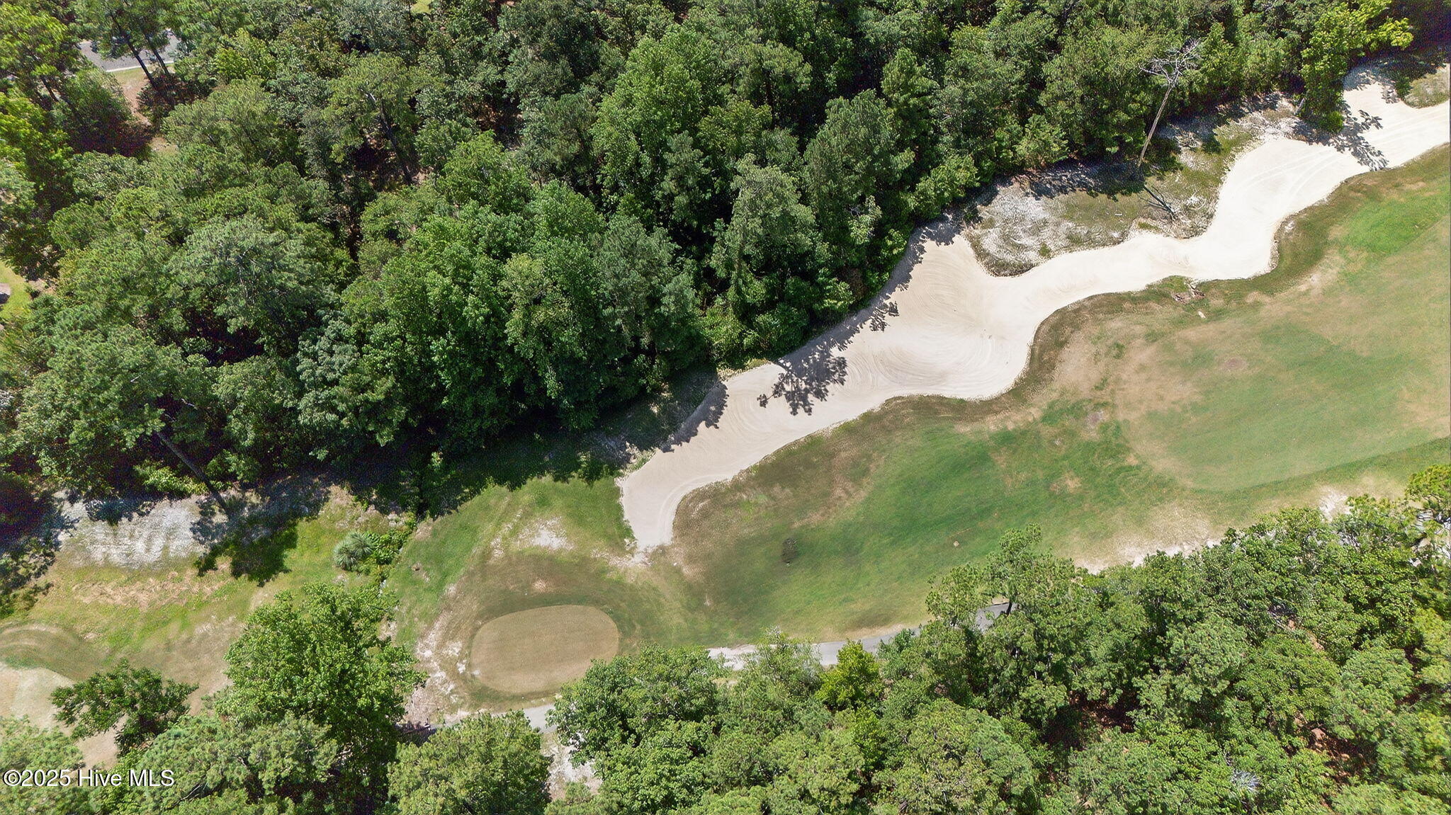 100519533 | Photo 23