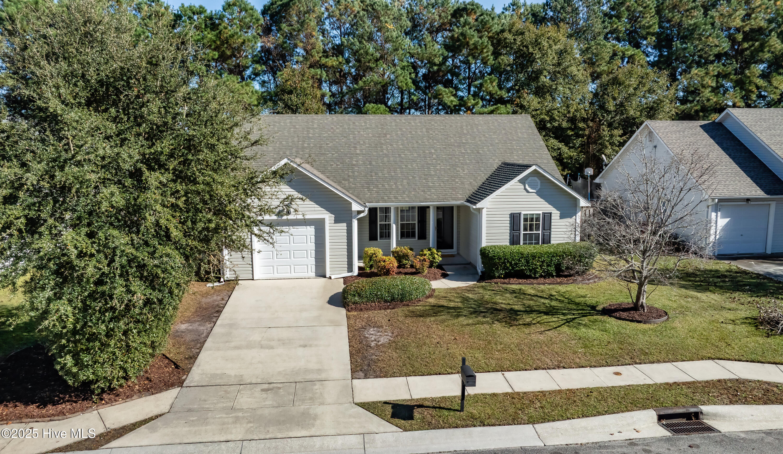 100540717 | Photo 39