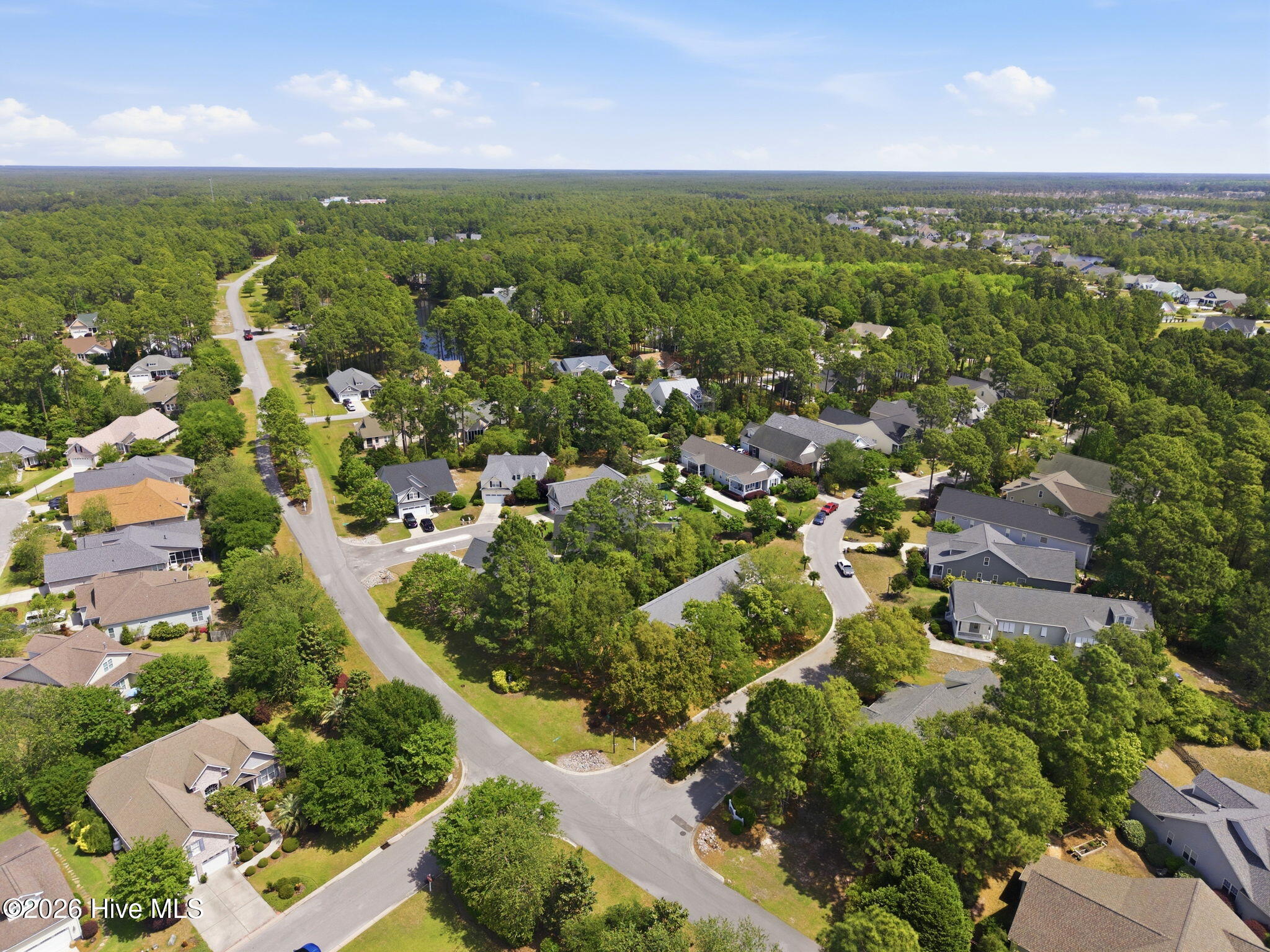 100569459 | Photo 49