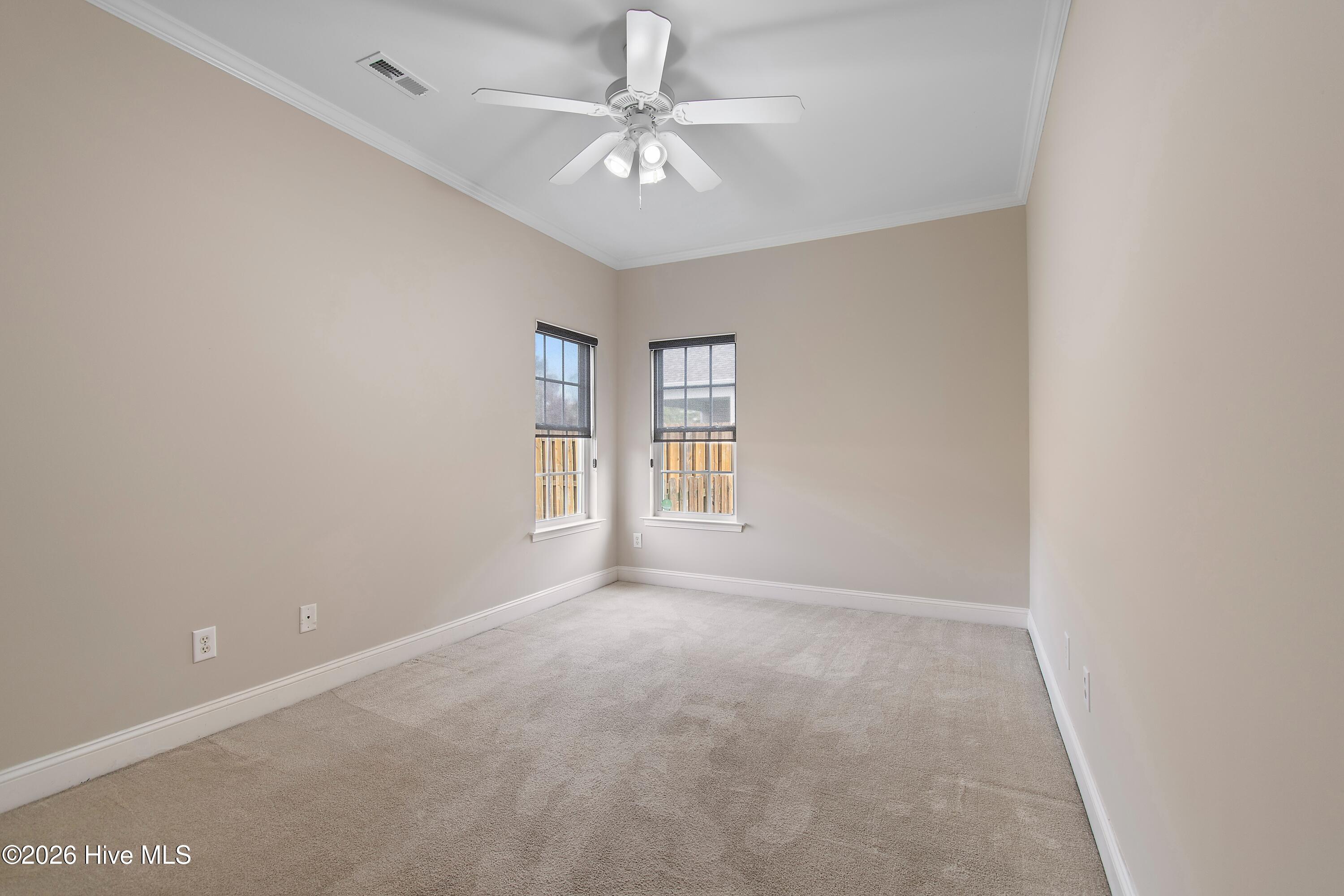 100562545 | Photo 34