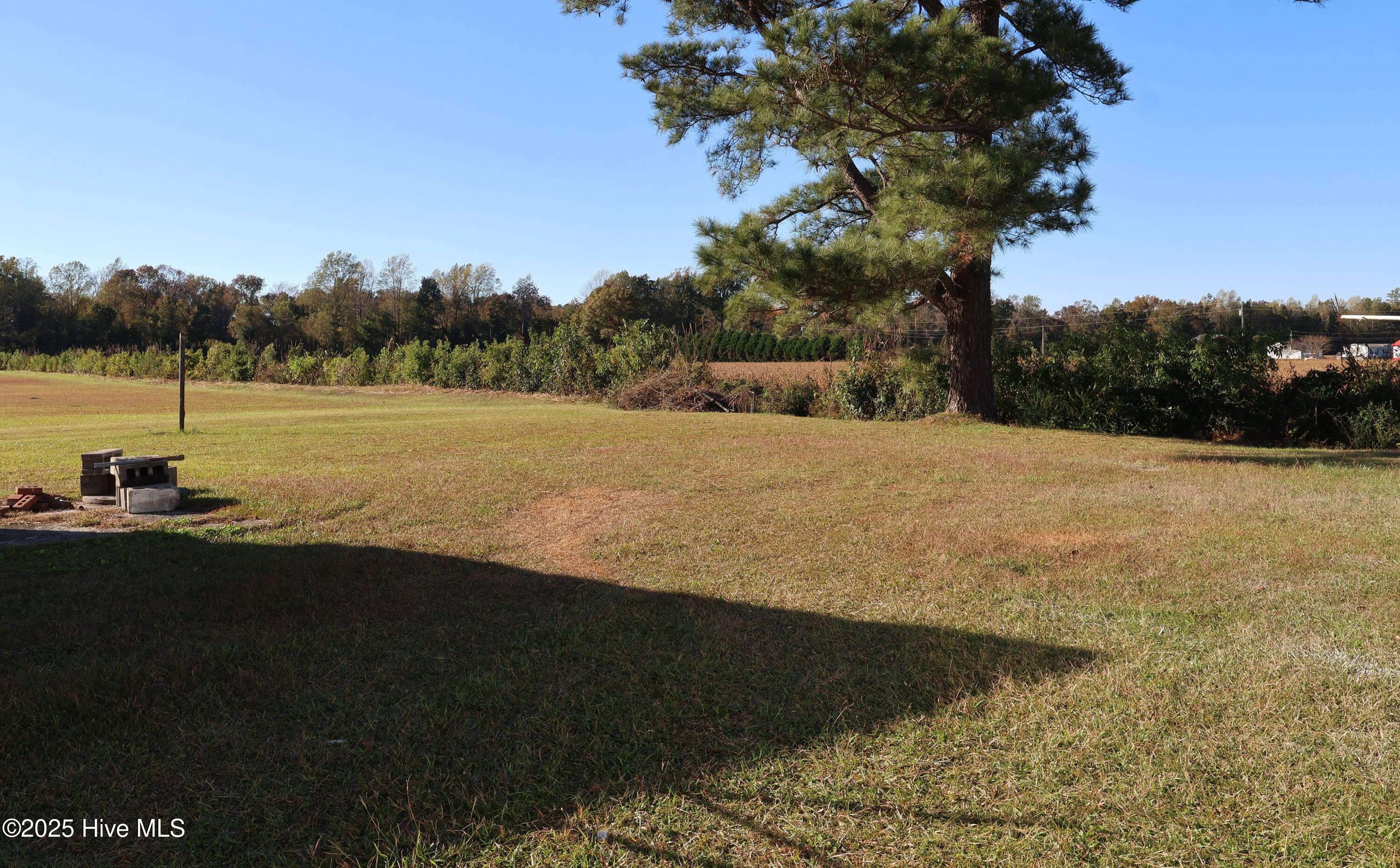 100539697 | Photo 19