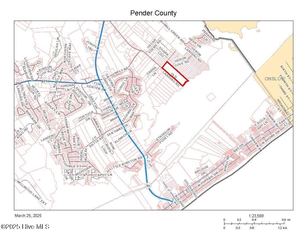 100496968 | Photo 13