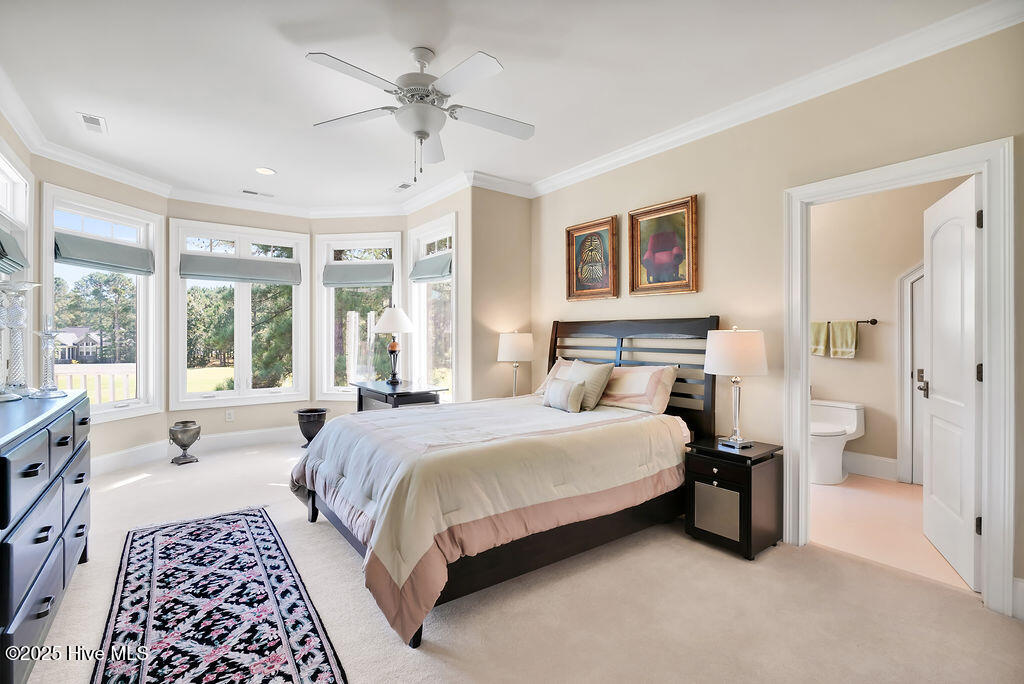 100535984 | Photo 52