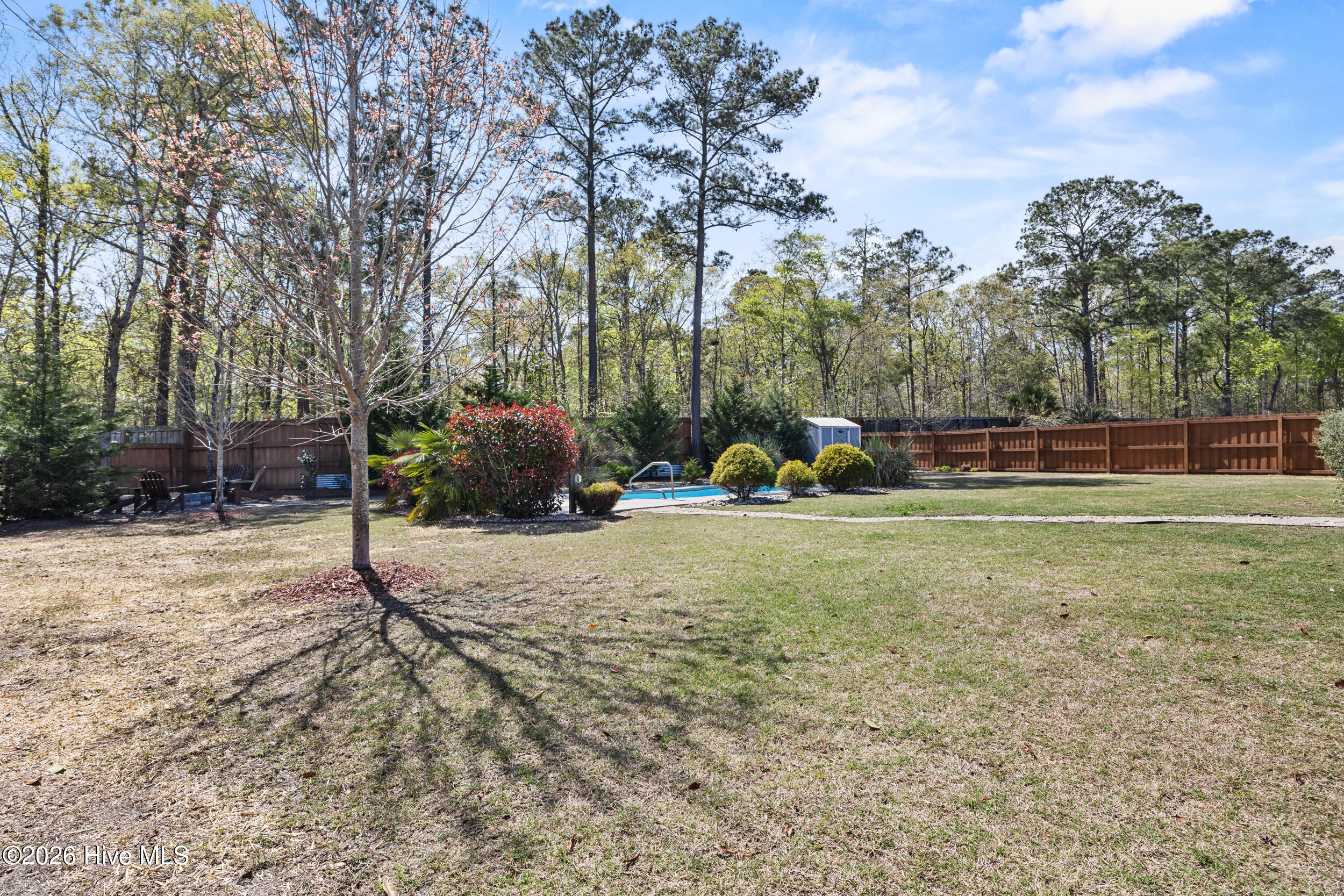 100564447 | Photo 49