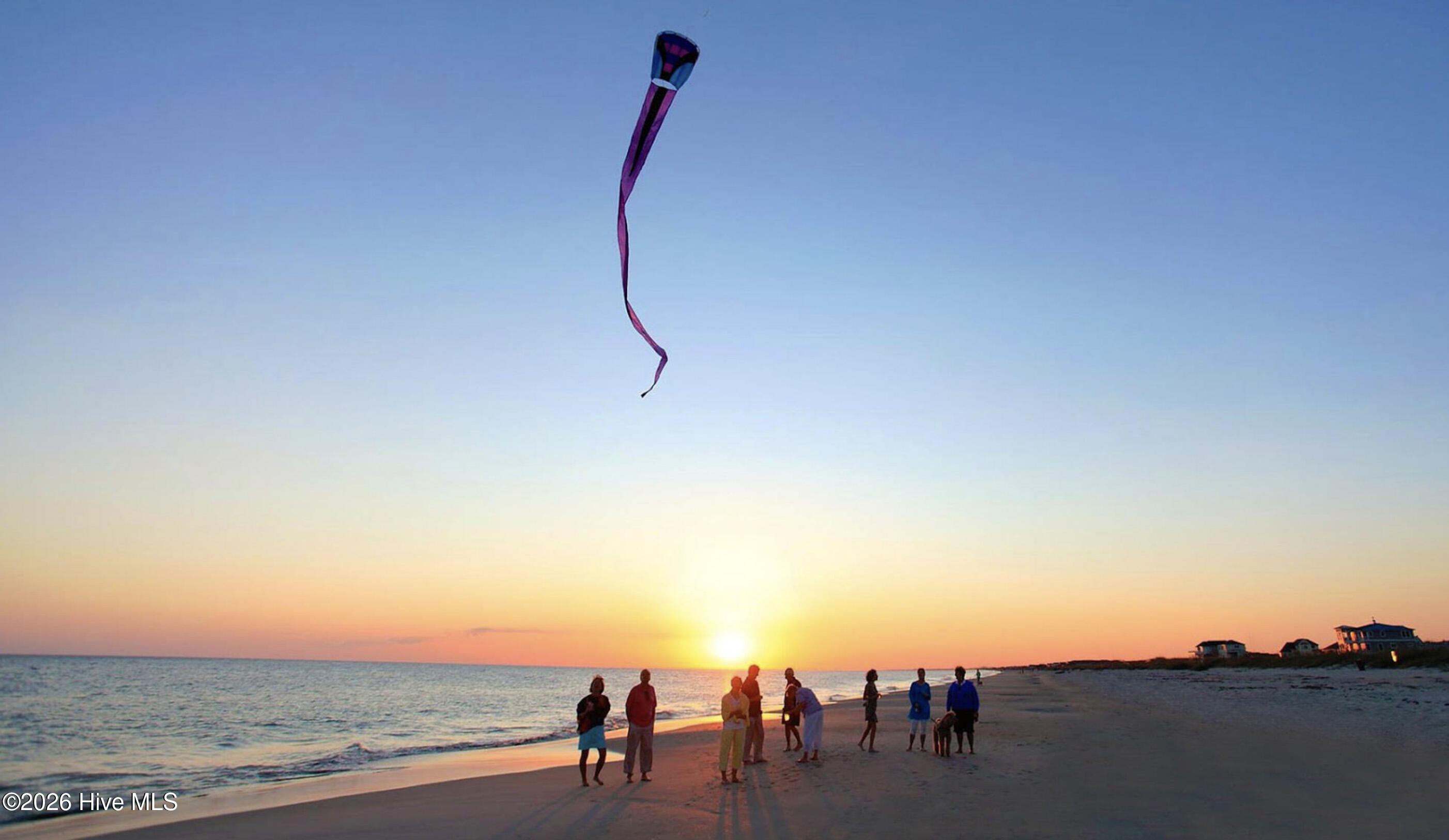 100562563 | Photo 47