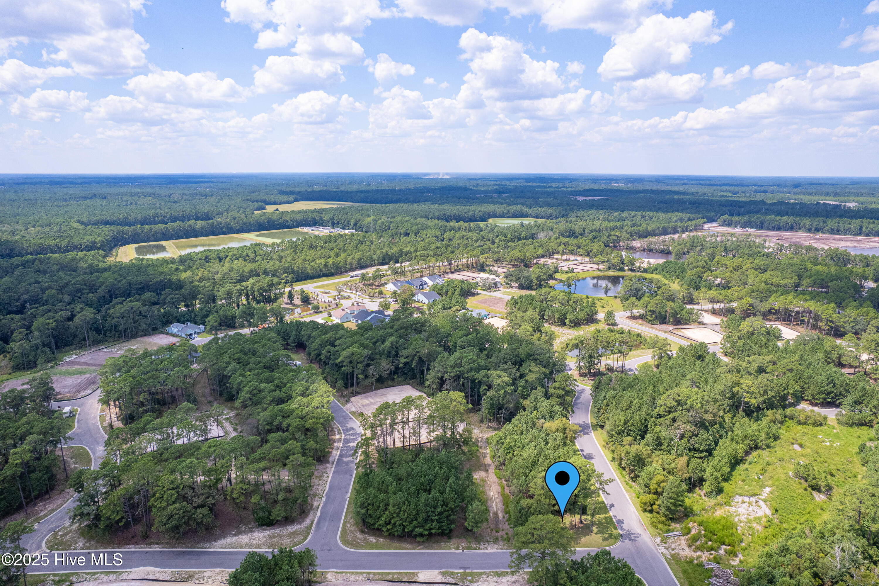 100524221 | Photo 11